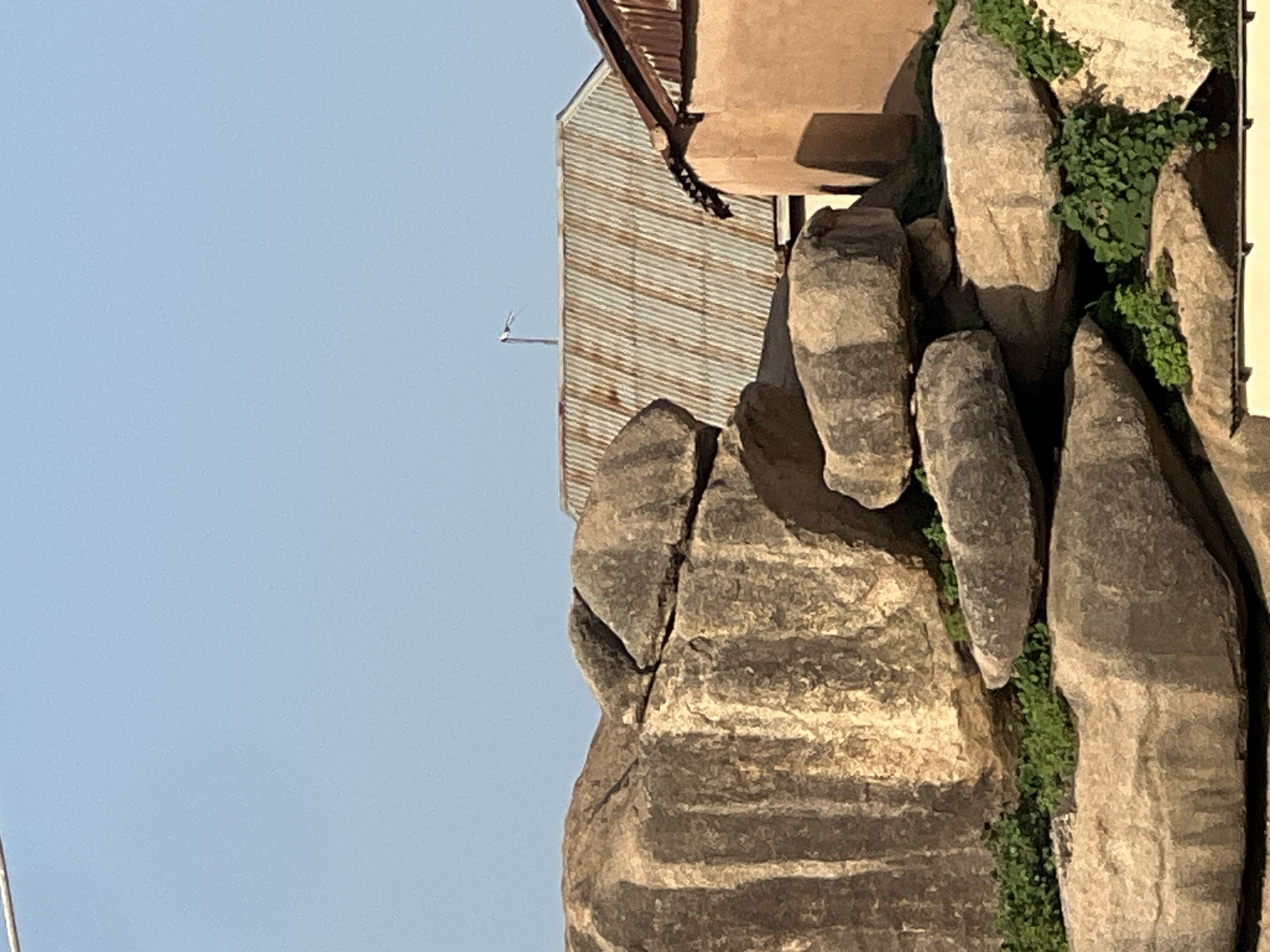 The image depicts a rocky landscape with a building in the background. The foreground is dominated by large, textured rocks, some of which have cracks and crevices. Lush green vegetation grows in between some of the rocks. In the background, a building with a corrugated metal roof and a stucco-like wall is visible. A small, light-colored object, possibly a bird or an insect, is in flight against the clear blue sky. The lighting suggests it is daytime, likely late afternoon given the shadows cast on the rocks. The scene appears to be an outdoor setting, possibly in a natural area that has been developed or built upon. There is no visible text in the image.