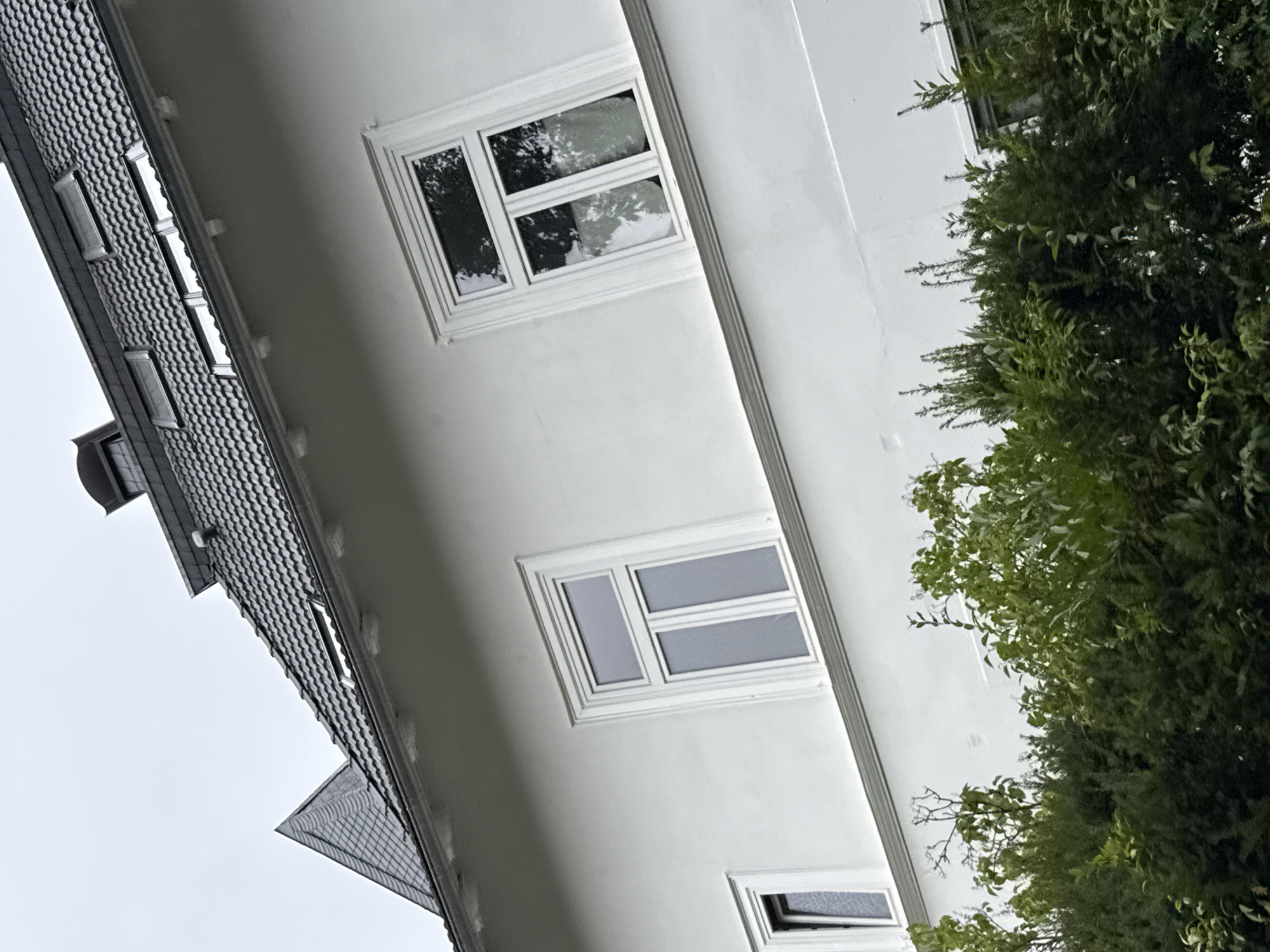 The image shows the upper portion of a white house in Bad Sachsa, Germany, with a grey tiled roof and several windows. The house appears to be multi-storied, with at least two levels visible. There are several windows with white frames, some with multiple panes. Some of the windows reflect the surrounding trees and sky. The roof is steeply pitched and features multiple skylights. A small, pointed dormer is visible on the left side of the roof. The foreground is filled with dense green foliage, likely a hedge or bushes, obscuring the lower part of the house. The sky is overcast, suggesting a cloudy day. The image is taken from a low angle, looking upwards towards the house.
