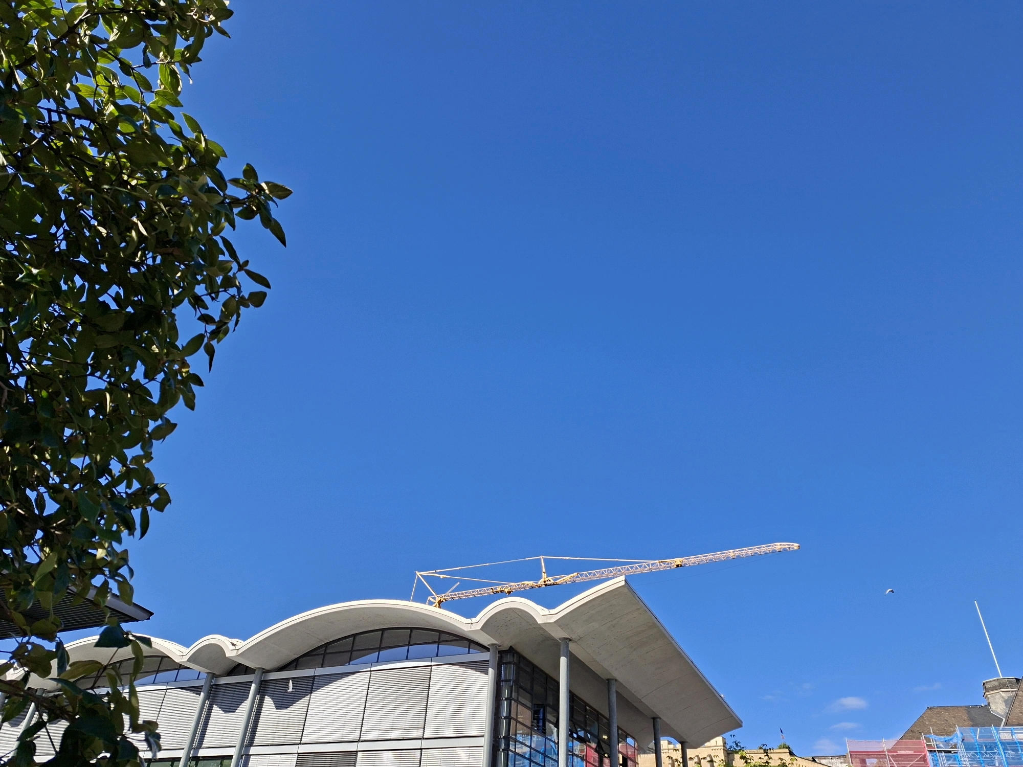 An external view from a low angle captures a modern building with a curved roof structure against a clear blue sky. A tall construction crane with yellow and white components extends diagonally across the upper portion of the frame. Lush green foliage from a tree frames the left side of the image, partially obscuring the building's upper left section. The building features a facade with horizontal louvers and large windows reflecting the sky and surrounding structures. A small, dark object, possibly a bird, is visible in the sky to the right of the crane. The lower right corner of the image shows a portion of another building with a tiled roof and scaffolding with pink netting, suggesting ongoing construction or renovation. The overall scene suggests an urban environment with active development.