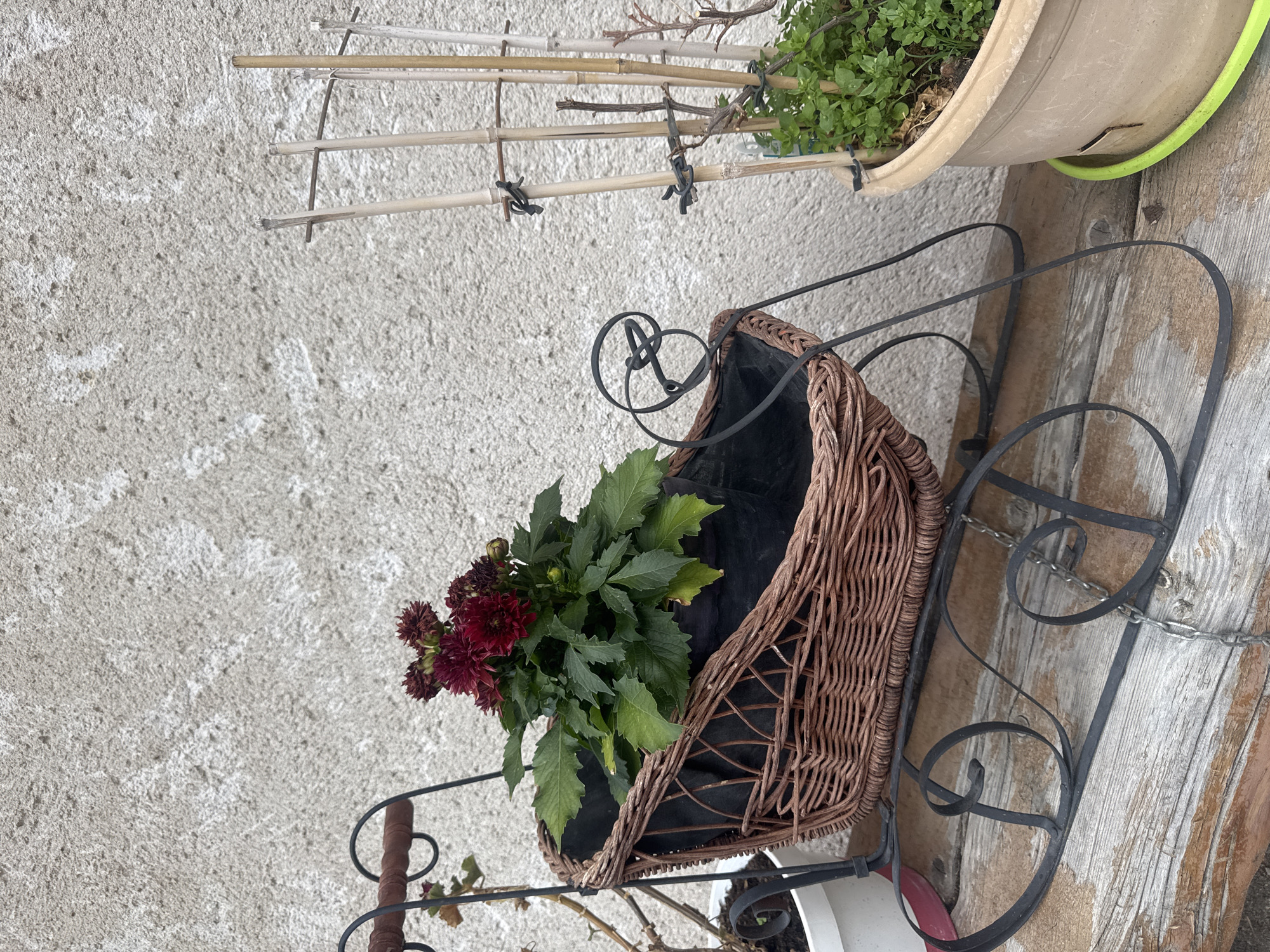 The image depicts an outdoor scene with a focus on decorative planters. In the foreground, a wicker basket planter shaped like a baby carriage is positioned on a weathered wooden surface. The basket contains a potted plant with dark red flowers and green foliage. The carriage-shaped planter has black metal scrollwork legs and a wooden handle. To the right of the carriage planter, another larger pot holds a green plant, supported by bamboo stakes. The background consists of a textured, light-colored wall. The overall setting suggests a garden or patio area. The location is identified as Les Rousses, France. There are no people or animals visible in the image.