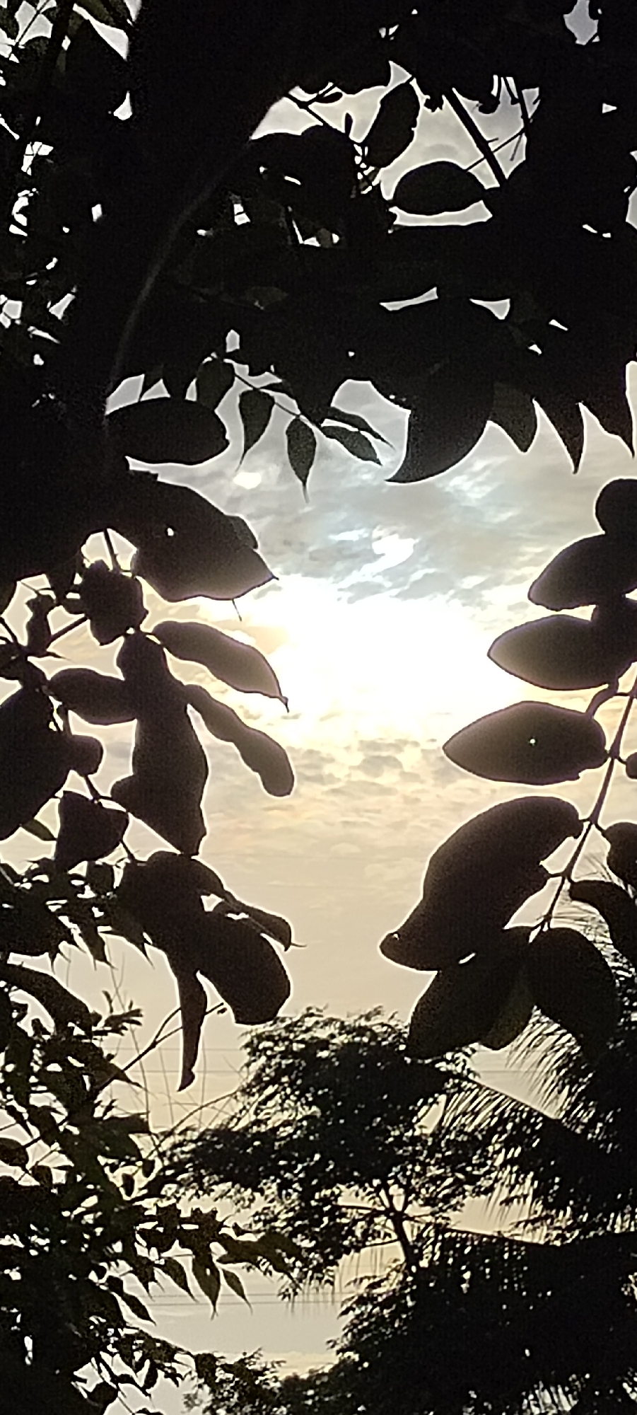 The image shows a view of the sky and clouds through the silhouette of tree branches and leaves. The scene appears to be taken during sunset or sunrise due to the bright light and the way it filters through the clouds. In the lower part of the frame, a hint of other trees can be seen. Given the location Lhokseumawe, Indonesia, the trees are likely tropical or subtropical. There are no people visible.