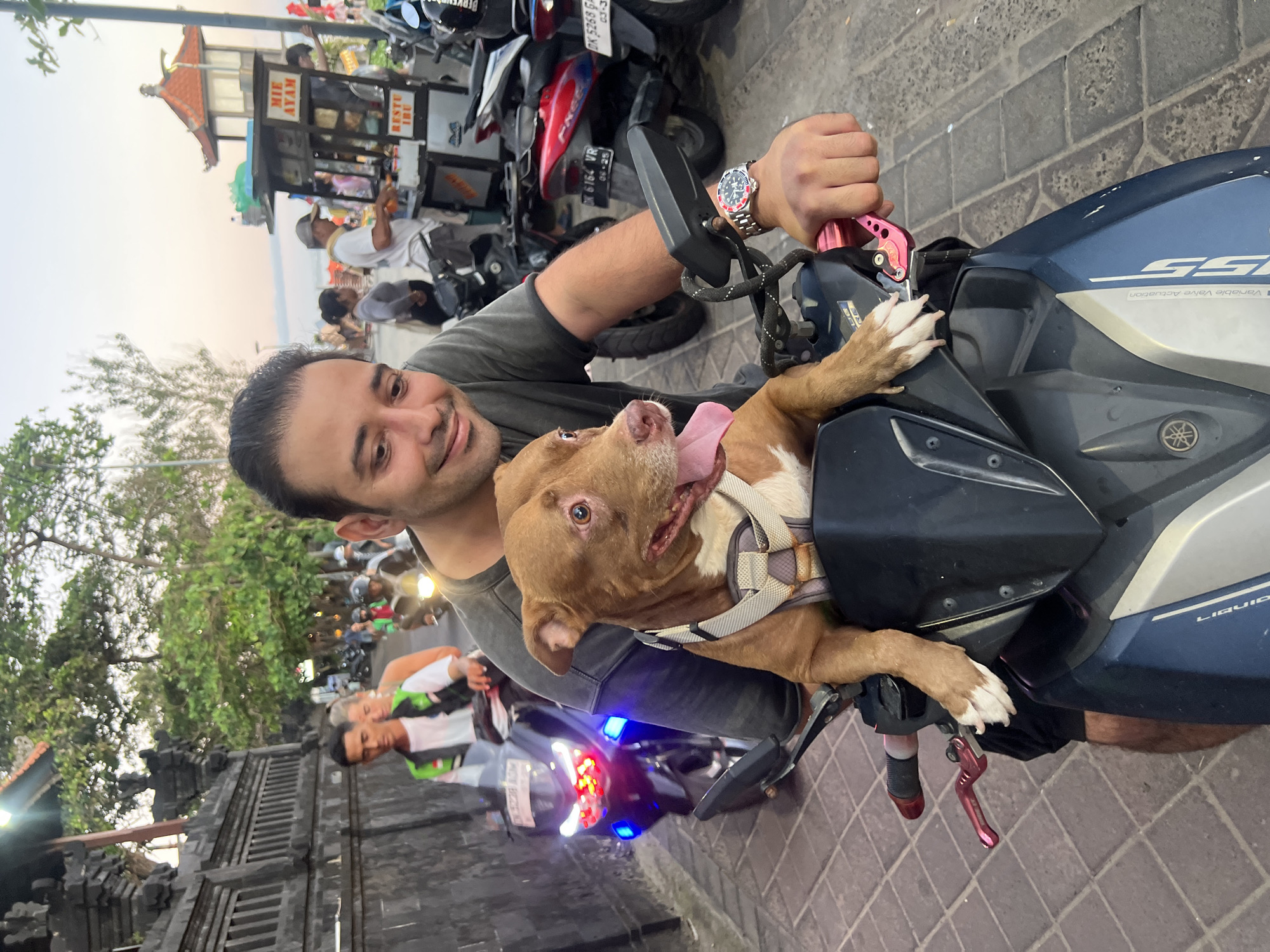 A man and a dog are joyfully posed on a blue and silver Yamaha scooter on a street in Kuta, Indonesia, during what appears to be late afternoon or early evening. The man, with dark hair and a beard, is smiling widely while seated on the scooter, holding the handlebars. In front of him, a brown and white dog, possibly a Pitbull-type breed, with its tongue out and wearing a harness, rests its front paws on the scooter's dashboard, looking happy and excited.
The setting is a bustling street scene, typical of coastal areas in Indonesia. In the background, a body of water or beach is faintly visible under a soft, clear sky. Along the roadside, there are several parked motorcycles, a traditional Indonesian food stall, and architectural structures with pointed roofs and stone carvings. Lush green foliage from trees lines the street. The ground is paved with patterned tiles.
Visible text on the scooter includes "LIQUID" and "Variable Valve Actuation", along with the abbreviation "VVA" and part of a model designation "GES". On the food stall, "MIE AYAM" (chicken noodles) and "RESTU IBU" are clearly legible. Indonesian license plates from Bali ("DK" prefix) are visible on other motorcycles, displaying "DK 6164 VR 04-25" and "DK 5268 G 03-3". The overall mood is cheerful, capturing a lighthearted moment between a man and his pet amidst the vibrant local environment.