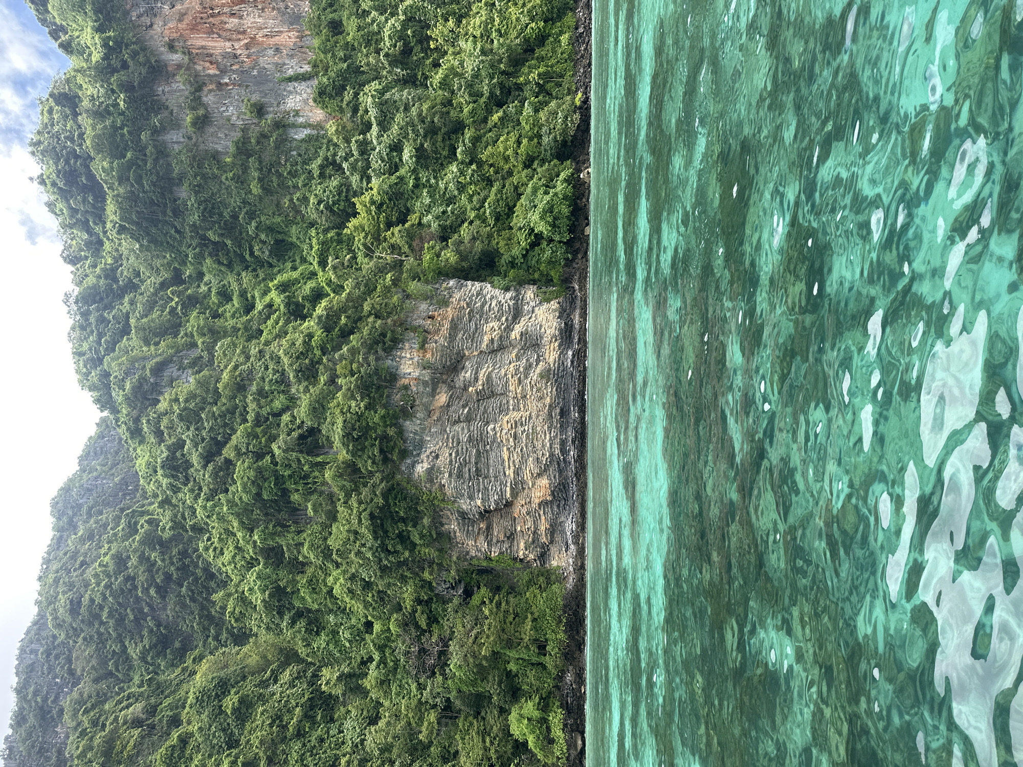 This is a photograph taken from the water, looking towards a steep, jungle-covered cliff face that rises dramatically from the sea. The water in the foreground is a vibrant turquoise, clear enough to see the rocky bottom beneath the surface in places. The cliff face itself is characterized by layers of rock, some appearing weathered and striated, interspersed with patches of lush green vegetation clinging to its surface and cascading down its sides. The overall impression is one of a remote and tropical coastal landscape. The image does not contain any specific markers or context to identify it as being located in Haad Hin Khom, Thailand.