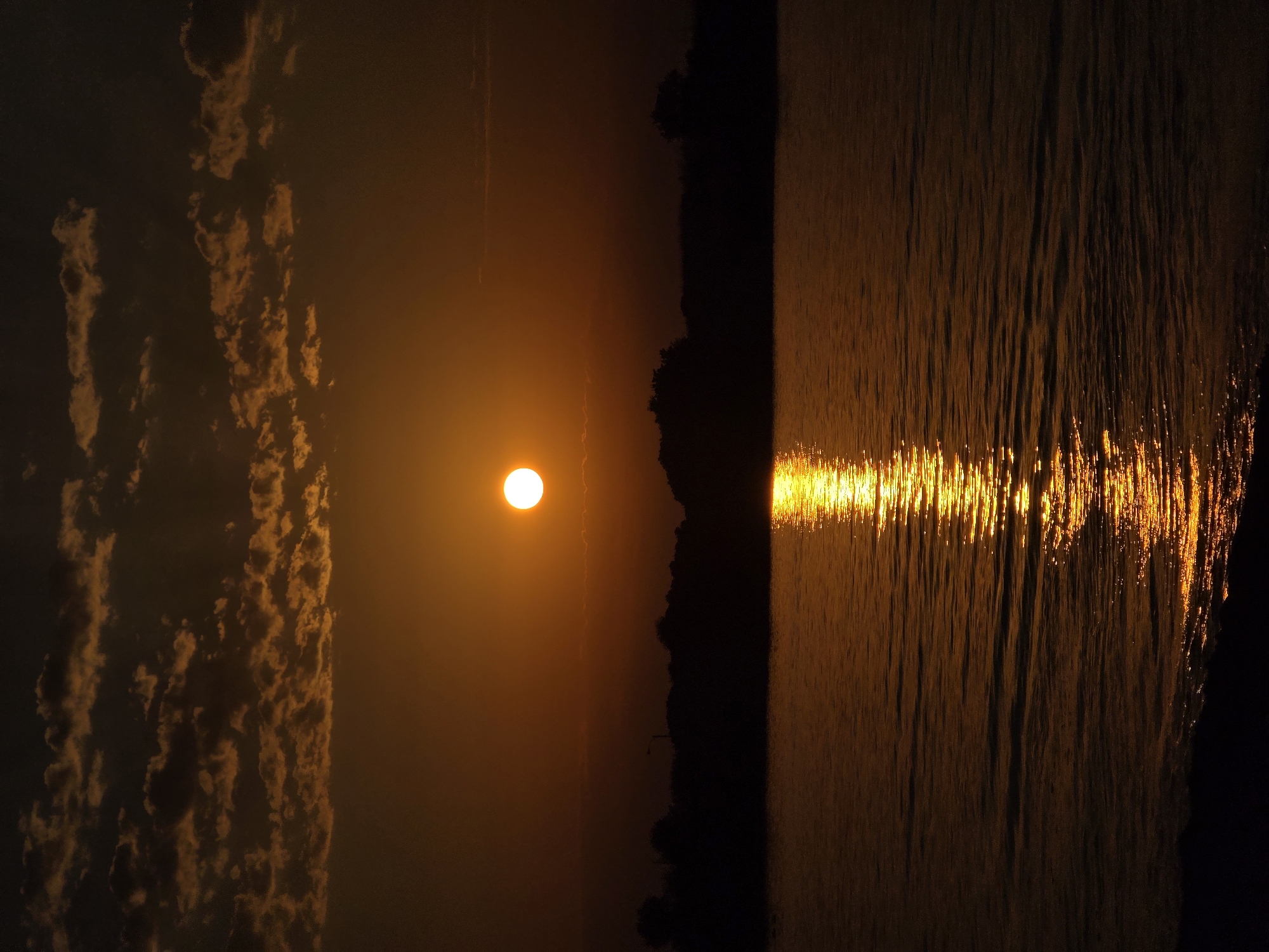 The image depicts a sunset over the Black Sea near Chernomorets, Bulgaria. The sun, a bright white orb, is positioned in the upper center of the frame, casting a golden reflection across the water. The sky is filled with scattered clouds, illuminated by the setting sun in hues of orange and brown. A dark silhouette of trees and land borders the horizon, with a hint of a street lamp visible on the left side. The water exhibits gentle ripples, reflecting the warm tones of the sunset. The foreground shows the dark edge of the shore. There are no people or animals present in the image.