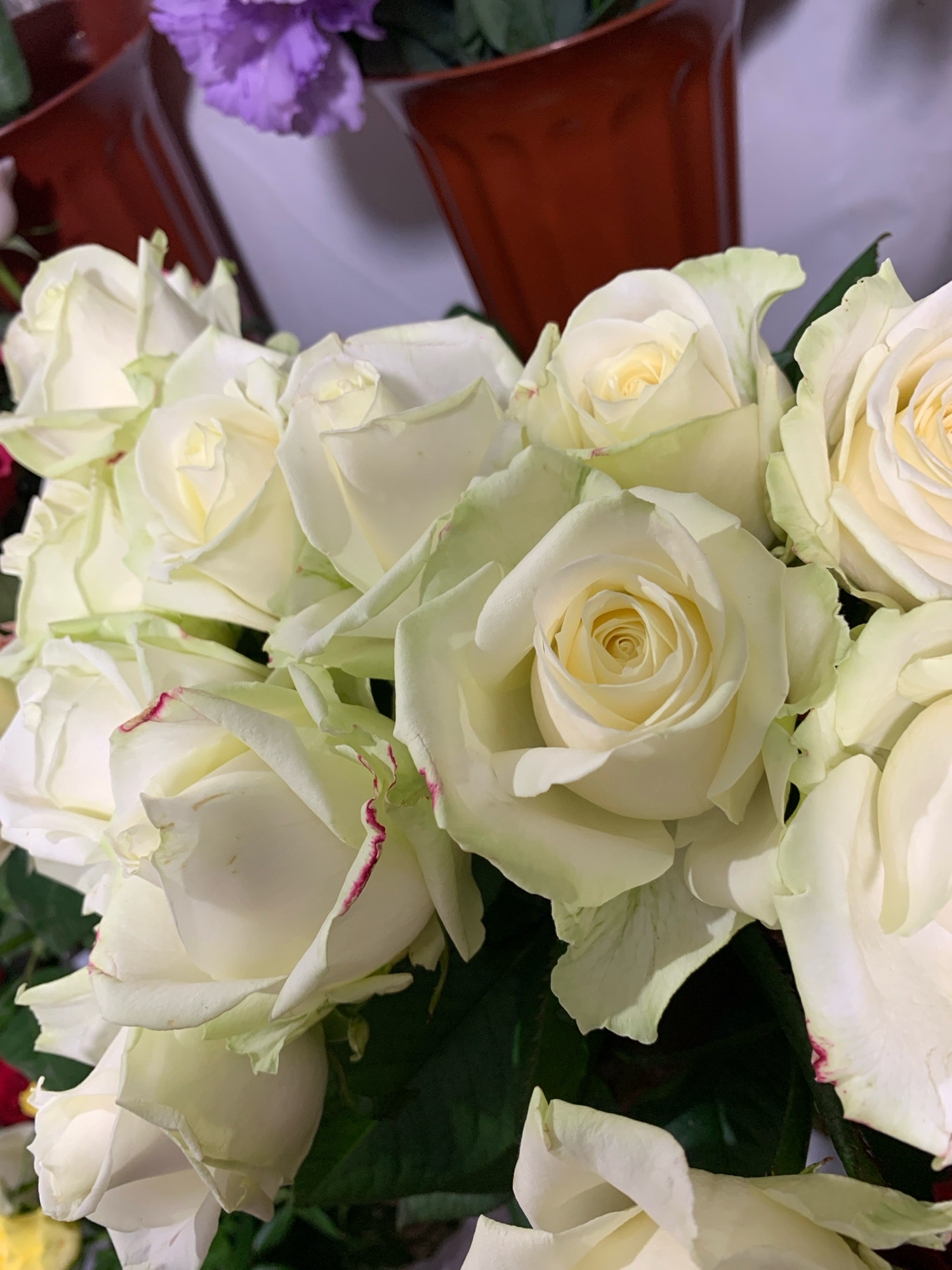 A close-up, overhead shot showcases a bouquet of white roses, many with hints of green and subtle pinkish-red edges on their petals. Some roses are fully bloomed, revealing intricate swirling patterns of petals, while others are partially open. The roses are arranged densely, with dark green leaves interspersed throughout. In the blurred background, two dark red vases are visible, one behind the other, and a hint of purple flowers can be seen in the upper left corner. The lighting suggests an indoor setting, possibly a flower shop or a home. The image is cropped tightly on the floral arrangement, leaving the surrounding environment largely indistinct. The city of Sumy, Ukraine is not depicted in this image.