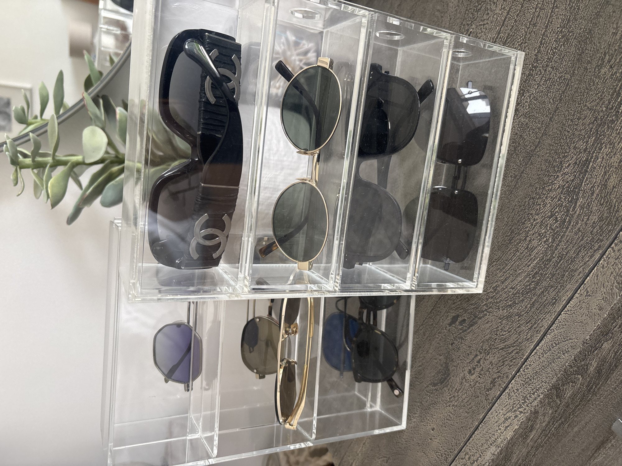 In Dubai, United Arab Emirates, on a dark wood textured surface, two clear acrylic display cases hold sunglasses. The case on the left is taller and has three visible shelves, each containing a pair of sunglasses. The top shelf holds a pair of rounded, purple-tinted sunglasses. The middle shelf displays gold-rimmed sunglasses with dark lenses. The bottom shelf contains a pair of dark, square-shaped sunglasses.
To the right, a shorter, wider acrylic case displays two shelves. The top shelf contains a pair of black designer sunglasses with prominent "CC" logos. The shelf below it holds a pair of round, gold-rimmed sunglasses with dark lenses. Below that, a third, partially visible shelf contains another pair of dark sunglasses. Behind the display cases, a green succulent plant is visible. The background is out of focus, suggesting an indoor setting.