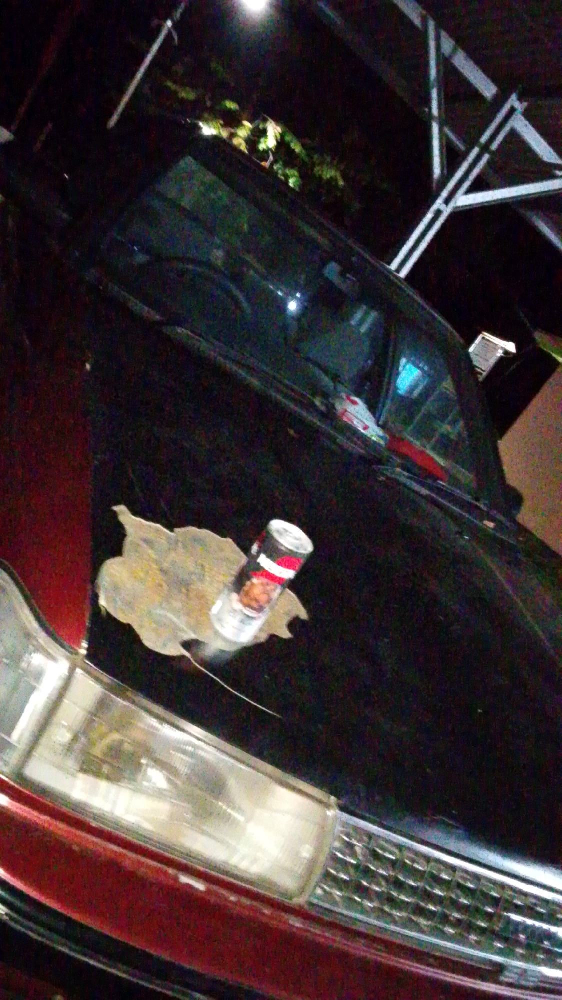 A reddish-brown car is parked outdoors at night, with a metal structure overhead. On the hood of the car, a dead leaf is visible, and on top of the leaf, a can of beans is placed. The can is upright and has a label with red and white stripes, and an image of beans. The car's headlights are on, illuminating the front of the vehicle. The scene appears to be in a dimly lit area, possibly a driveway or a parking lot. The location of Cintaratu, Indonesia is not discernible from the image.