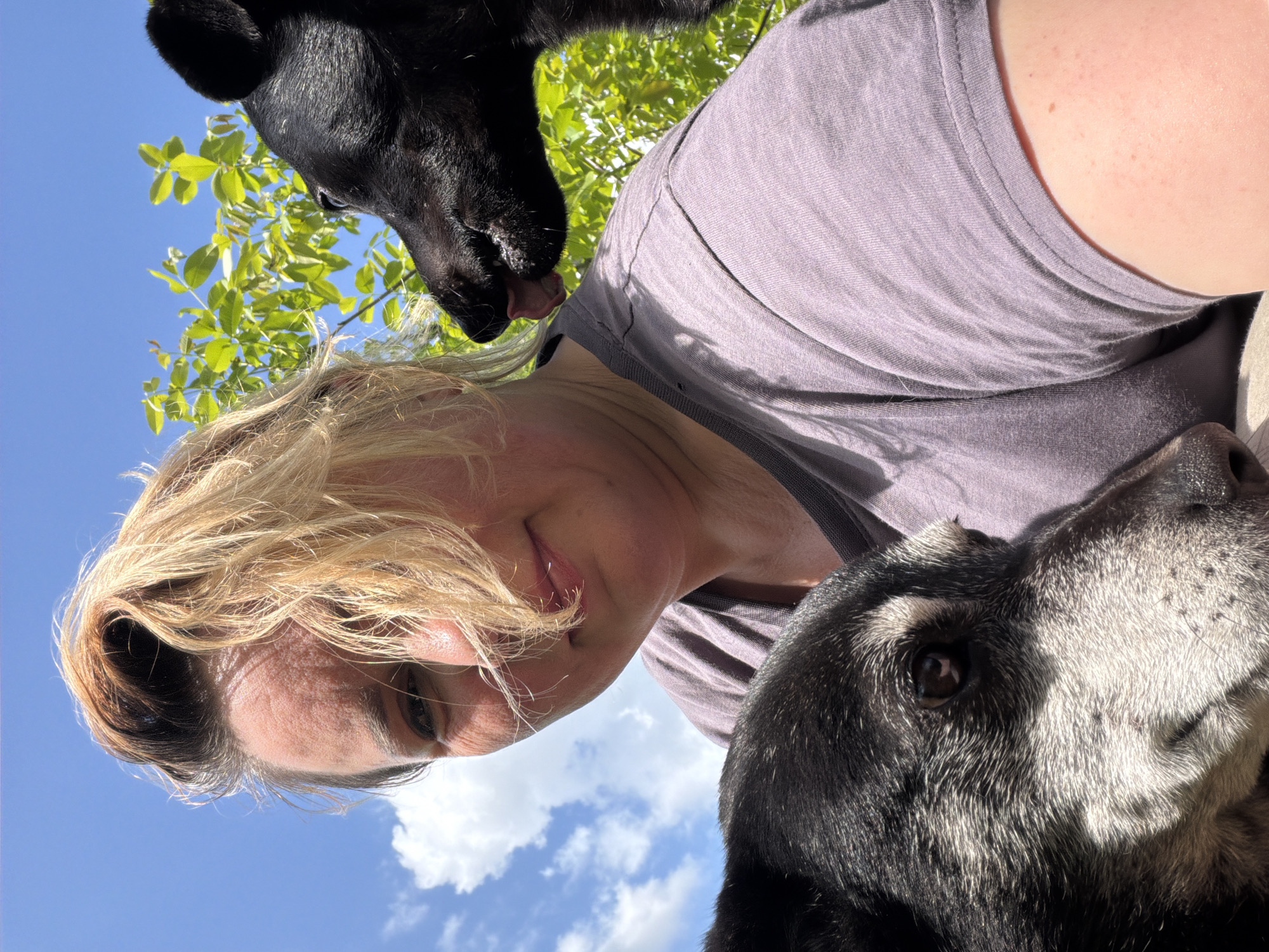 A woman with blond hair is seen from a low angle, with two black dogs flanking her. The dog on the upper left is licking her face. She is wearing a heather gray t-shirt. Above and behind her are green leaves of a tree against a blue sky.