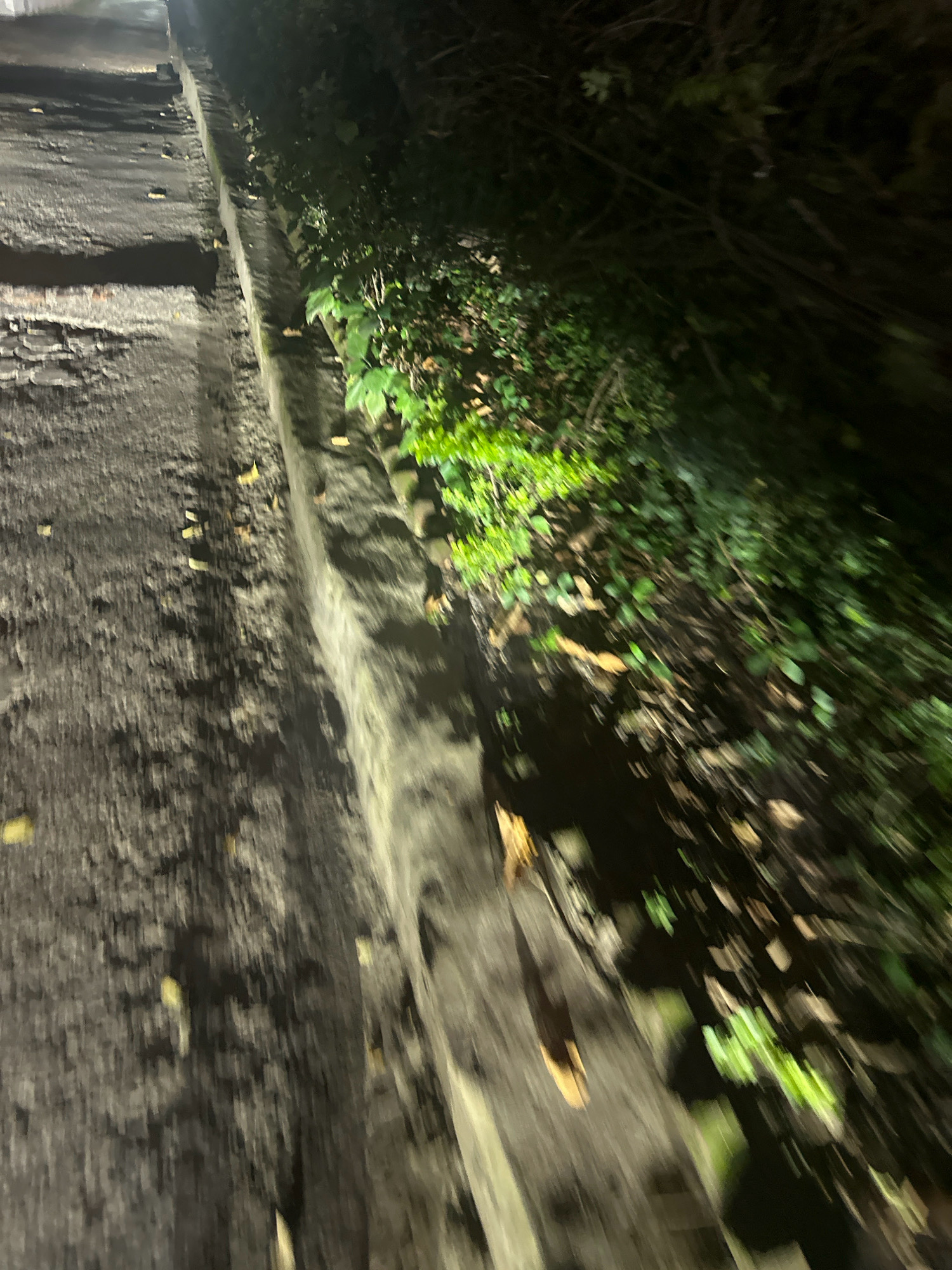 The image shows a low-angle, blurred view of a narrow, paved pathway adjacent to a dense, green shrubbery. The pathway appears to be constructed of asphalt or a similar dark, textured material and shows signs of wear and tear. A raised concrete curb or drainage channel runs along the edge of the pathway, separating it from the vegetation. Fallen leaves are scattered across the pathway and on the ground near the curb. The shrubbery is lush and appears to be growing thickly, with some areas illuminated by artificial light, creating bright green highlights. The overall scene suggests an outdoor environment, possibly a sidewalk or a walking path in a park or a residential area, at night or in low-light conditions. Without additional context or visual cues, it is not possible to definitively identify the specific location within Lalitpur, Nepal.