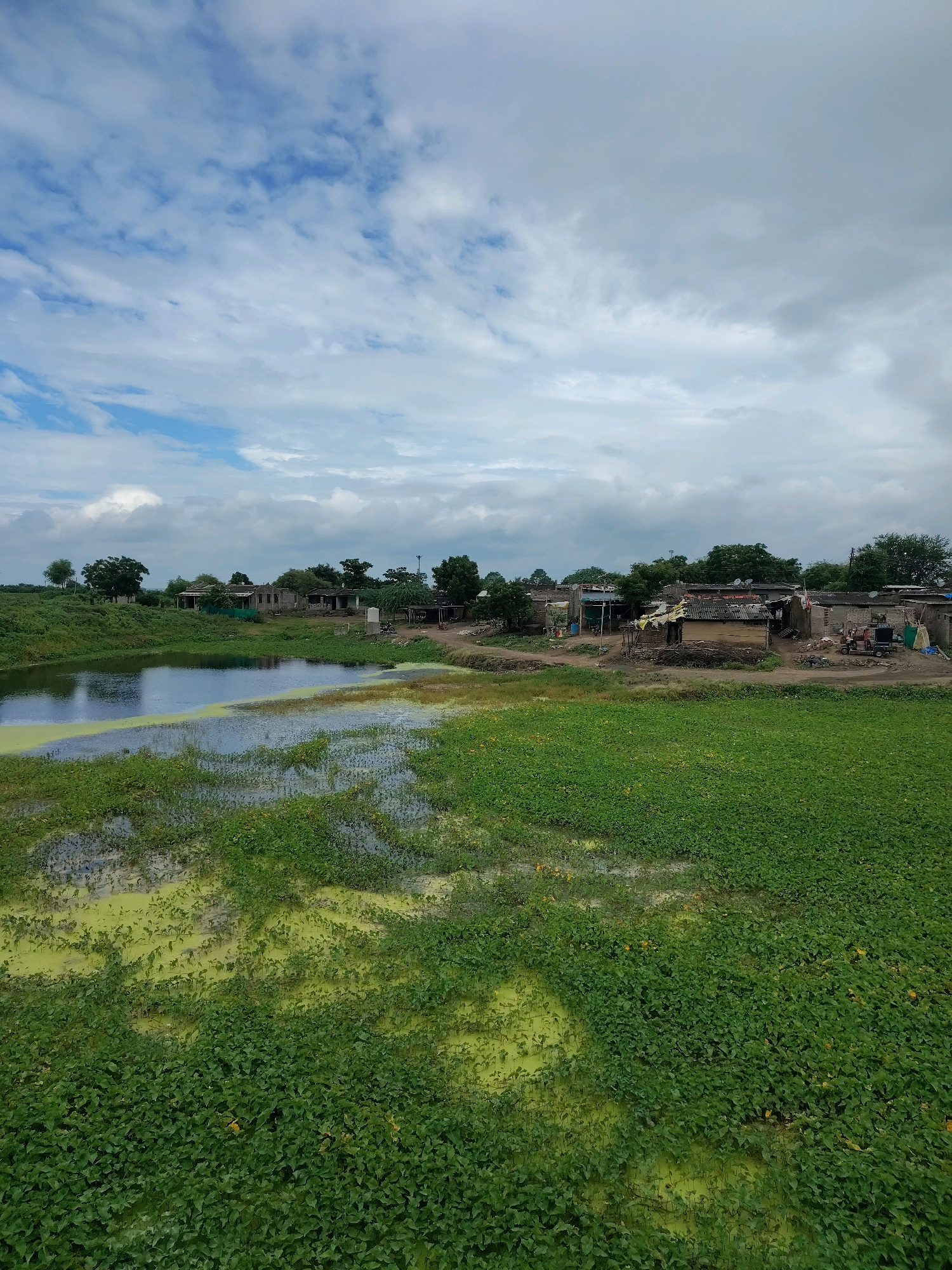 The image depicts a rural village scene in Velawad, India, under a partly cloudy sky. In the foreground, a body of water, likely a pond or a marshy area, is covered with lush green aquatic vegetation, with patches of yellow-green algae bloom. The water body extends to the left and middle ground of the image. Beyond the water, a dirt road separates it from a cluster of houses. These structures are predominantly single-story, with roofs made of corrugated metal and some traditional materials. Some houses appear to be constructed with brick and mud. Various objects are visible around the houses, including a small red vehicle, what looks like farming equipment, and scattered items on the ground. Trees and foliage surround the village, adding to the rural ambiance. The overall impression is of a quiet, functional village with signs of daily life and agricultural activity.