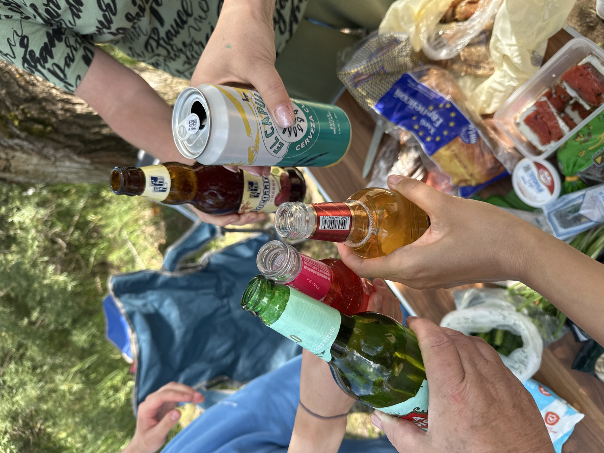 The image depicts a group of people having a picnic outdoors. Several hands are visible, holding up drinks for a toast. Among the drinks are a can of "EL CAPULIN CERVEZA CLASICA" and several bottles, including one with a green label that reads "SANS ALCOOL" and another with a red liquid. There are also food items on a wooden table, including bread and some containers with food that appears to be sandwiches with red toppings. In the background, there are folding chairs and lush green foliage, suggesting a natural setting. The presence of a can with Cyrillic text on its label, possibly Russian, along with the overall context of an outdoor gathering, could indicate a location like Chaikovsky, Russia, where such recreational activities are common.