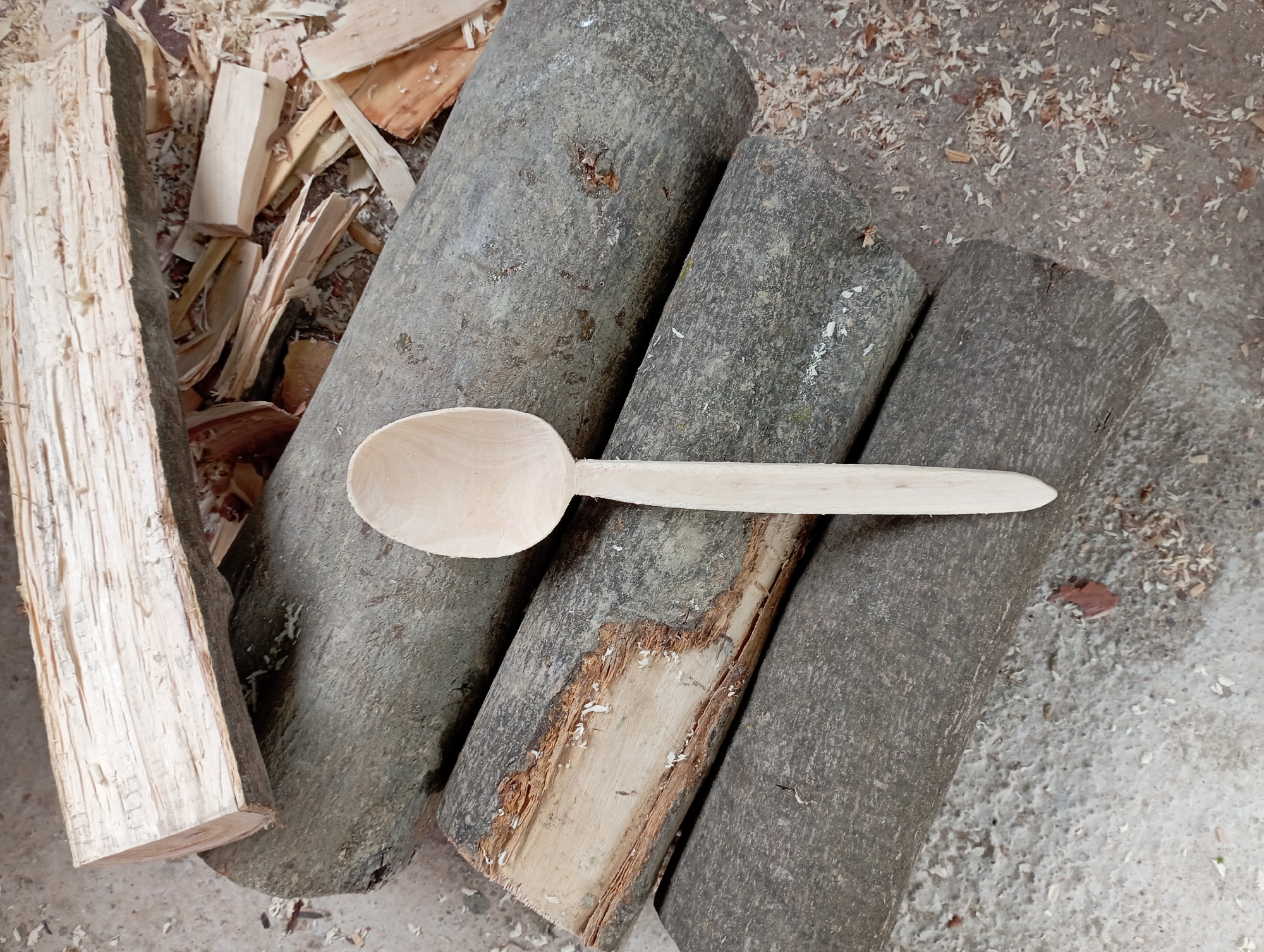 The image depicts a still life composition featuring woodworking. A carved wooden spoon rests atop several logs of wood. Scattered around the logs are wood shavings. A split log lies on the left side of the frame. The location is an outdoor setting in the city of Unknown, Unknown, suggested by the presence of a concrete ground surface visible around the arrangement. No people or interactions are visible.