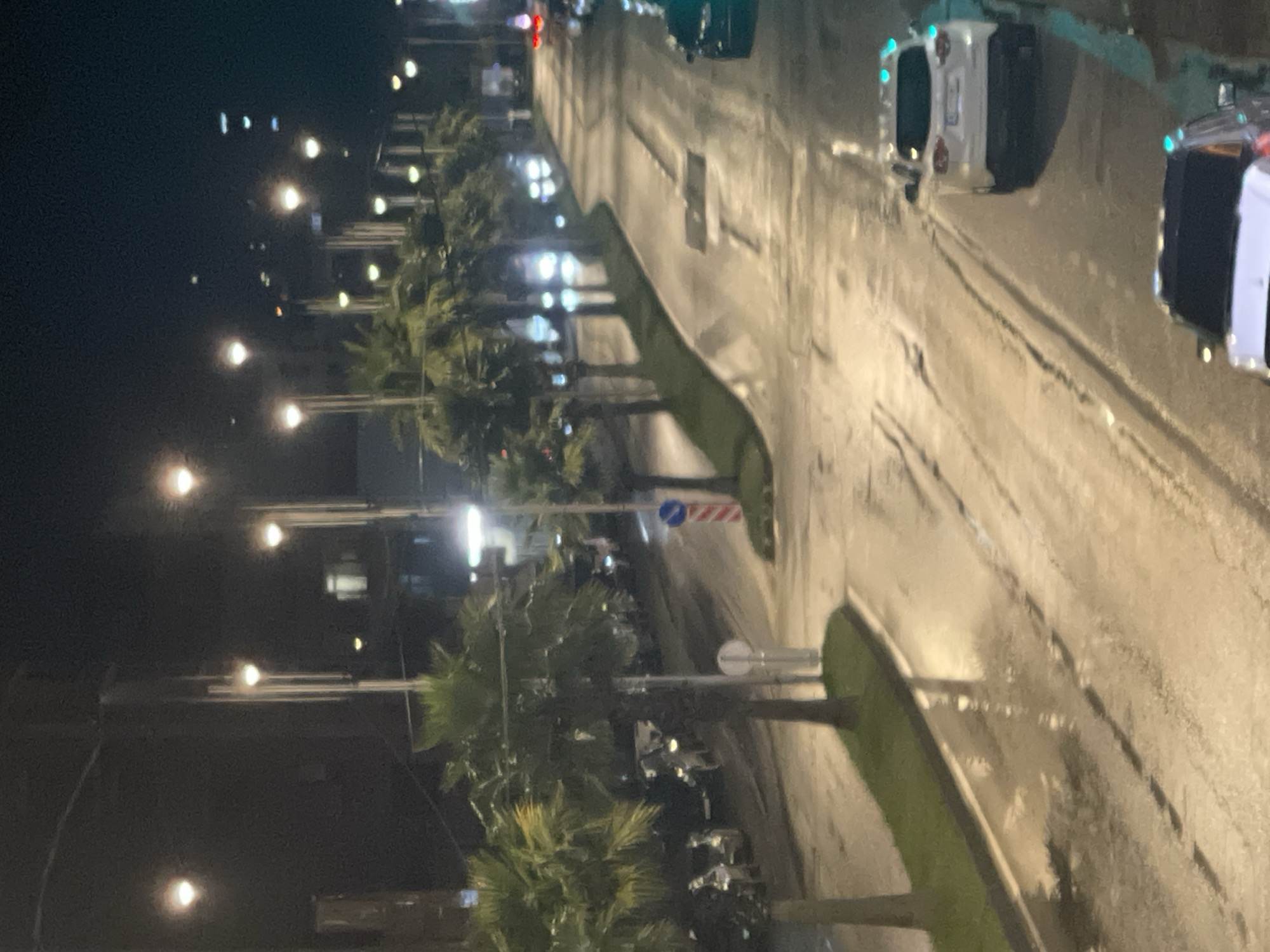 The image depicts a night scene on a wet street in Batumi, Georgia, likely after rainfall, with palm trees lining the roadside. Streetlights illuminate the area, reflecting on the wet asphalt. Several cars are visible; one white SUV is parked on the right side of the road, and another vehicle is partially visible in the foreground, also appearing to be parked. The street curves to the right as it recedes into the distance, with more cars and streetlights visible further down. The overall atmosphere is urban and nocturnal, with a sense of calm.