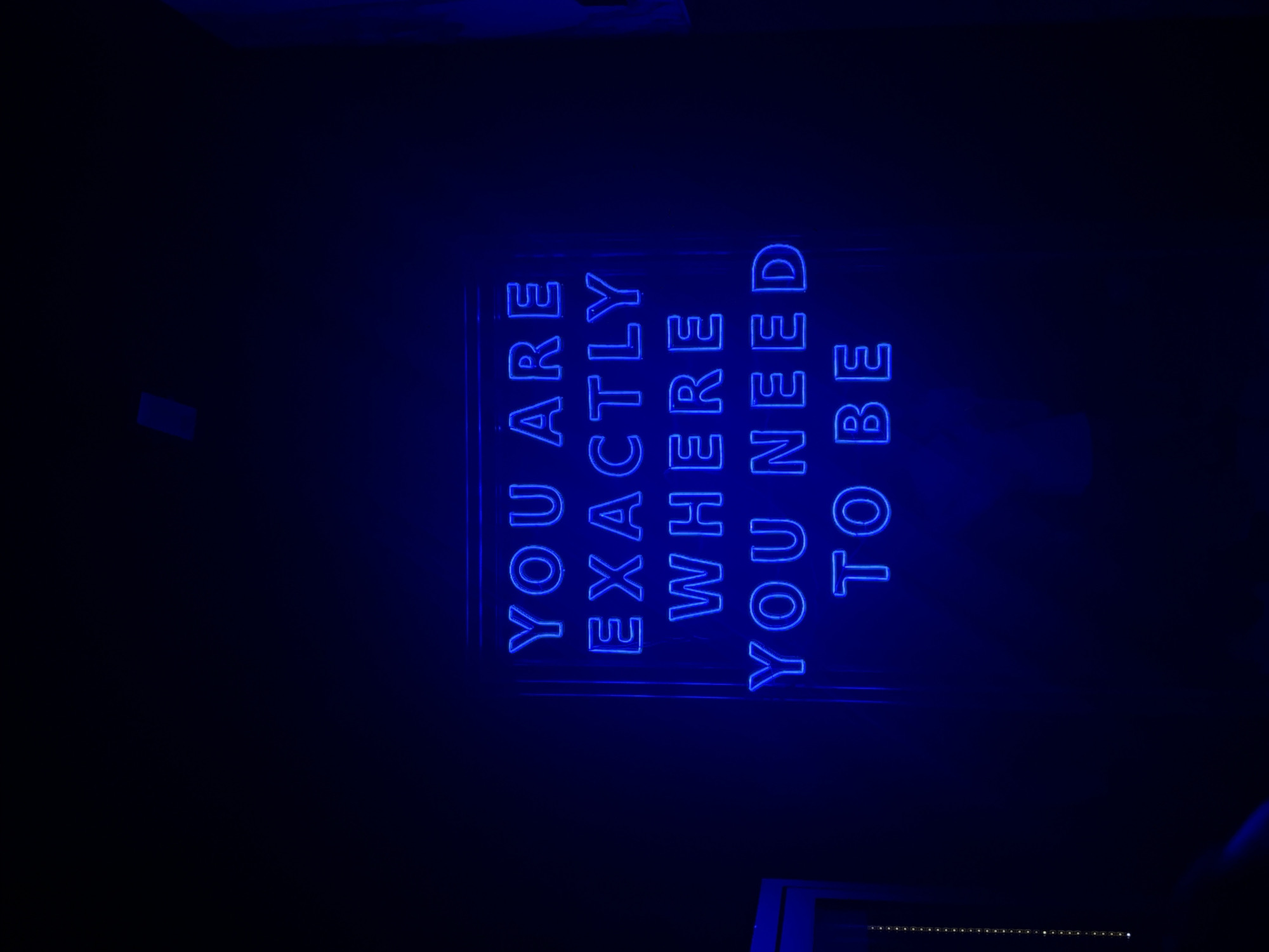 The scene depicts a dark, indoor environment in Mexico City, Mexico, centered on a rectangular blue neon sign. The sign is illuminated brightly, displaying the text "YOU ARE EXACTLY WHERE YOU NEED TO BE" in five lines of block capital letters. The letters are formed by continuous blue neon tubes. The sign is mounted on a dark, vertical surface, likely a wall, which absorbs most of the light, creating a high-contrast image dominated by blue and black tones. Subtle details in the periphery include a faint rectangular object near the top-center of the image, potentially a ceiling fixture or vent. To the far left, indistinct vertical structural elements are visible, along with a vertical string of small, reflective spherical objects or lights. The lower portion of the image exhibits soft blue horizontal light streaks, possibly originating from unseen light sources or reflections. No individuals, actions, or direct interactions are discernible within the frame.