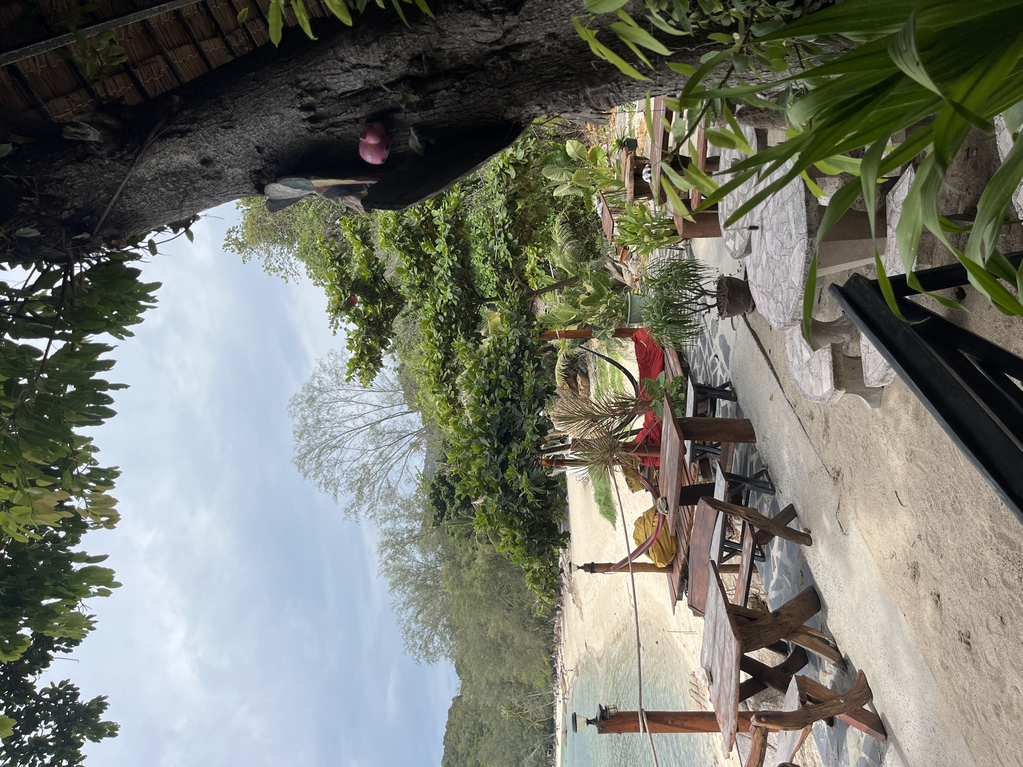 This image depicts an outdoor seating area on a sandy beach in Ko Pha-ngan District, Thailand. The foreground shows rustic wooden tables and chairs arranged on a sandy and paved surface. To the left, a calm body of water with gentle waves is visible, meeting a sandy beach dotted with a few people. Lush green trees and foliage frame the scene, with a large tree trunk prominently featured on the right side, adorned with a colorful parrot decoration and a pink object. In the background, more trees and hills are visible under a cloudy sky. A hammock is also visible between two trees. The overall atmosphere suggests a relaxed, tropical beachfront cafe or restaurant setting.