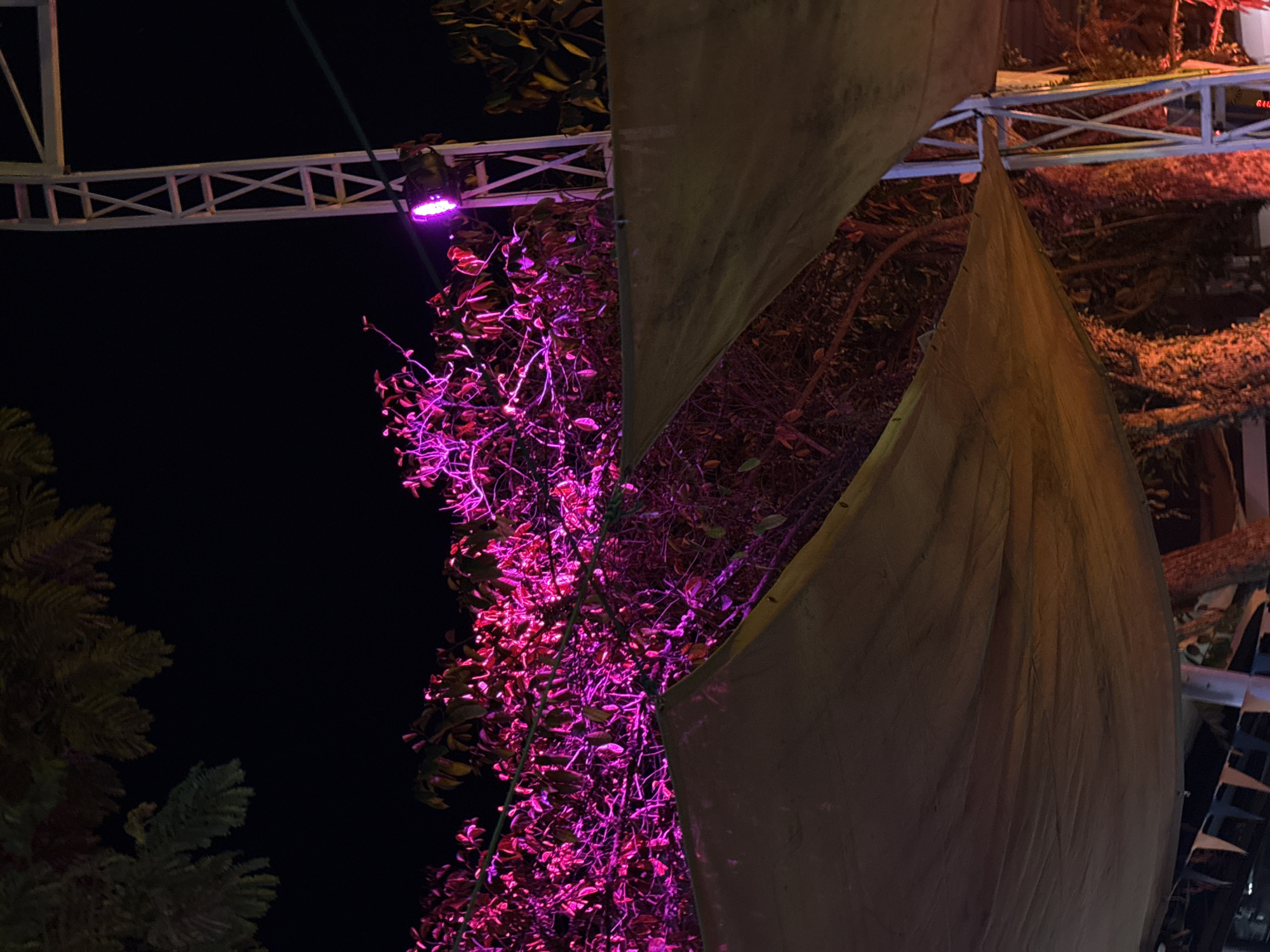 This is a nighttime outdoor scene in Da Nang, Vietnam, featuring a metal structure with a spotlight illuminating trees. Two large, draped fabric canopies are prominently visible, casting shadows and creating a sense of depth. The foliage is bathed in vibrant pink light, suggesting an event or decorative lighting setup. The metal structure appears to be part of a temporary setup, possibly for an outdoor market or festival, indicated by small triangular flags visible at the bottom of the frame. The overall atmosphere is festive and possibly commercial.