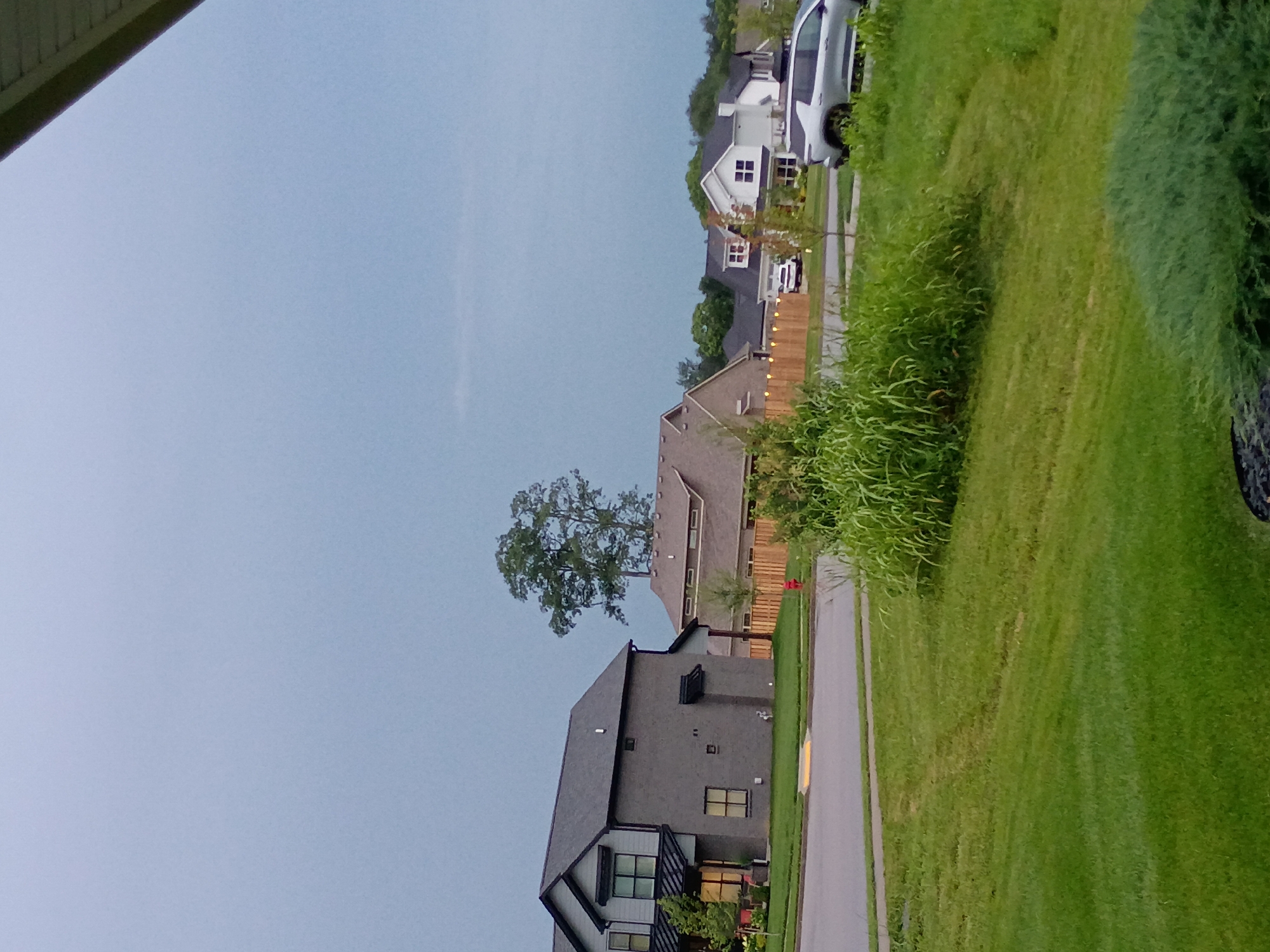 This image depicts a residential street scene in Nicholasville, United States of America, on an overcast day. In the foreground, a well-maintained green lawn occupies the bottom portion of the frame. A portion of a dark green bush is visible in the lower right corner. In the middle ground, a street curves into the distance, with a sidewalk or curb bordering the lawn. Tall, green grass and reeds grow along the edge of the street and sidewalk. A red fire hydrant is visible amidst the foliage.
Several modern houses are visible in the background. The house on the left is a two-story structure with a gray brick first floor and a gray upper story, featuring dark gray trim and a dark gray roof. It has several windows and an attached garage. Next to it, another house with a tan roof and tan siding is partially visible. Further down the street, a white two-story house with black trim and a black roof is prominent, with multiple windows and a chimney. Two cars are parked on the street in front of this house.
To the right of the white house, a silver SUV is parked on the street. A wooden fence with string lights runs along the property line between the houses. A large, mature tree with lush green foliage stands tall behind the houses. The sky is a uniform, pale blue-gray, suggesting cloudy conditions. The scene appears to be a typical suburban neighborhood.