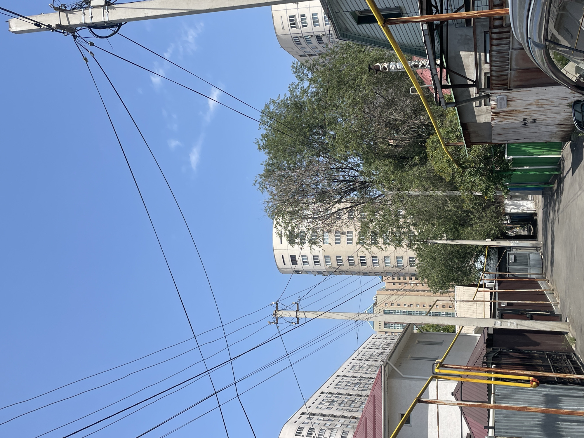 The image shows a street scene in Almaty, Kazakhstan, under a clear blue sky. The foreground features a paved street with utility poles and a complex network of overhead wires. On the left side of the street, there is a white building with a red-tiled roof and a dark metal fence with yellow pipes attached. Further down the street, a tall, light-colored apartment building with numerous windows is visible.
To the right of the street, there are several smaller structures, including a building with light blue siding and a yellow pipe. Behind these, a dense canopy of green trees is present. In the background, two large, modern apartment buildings with curved facades and many windows dominate the skyline. One of these buildings is light beige, and the other appears to be a lighter shade, possibly cream or white. The overall impression is that of a residential area within a city, with a mix of older, smaller structures and newer, larger apartment complexes.