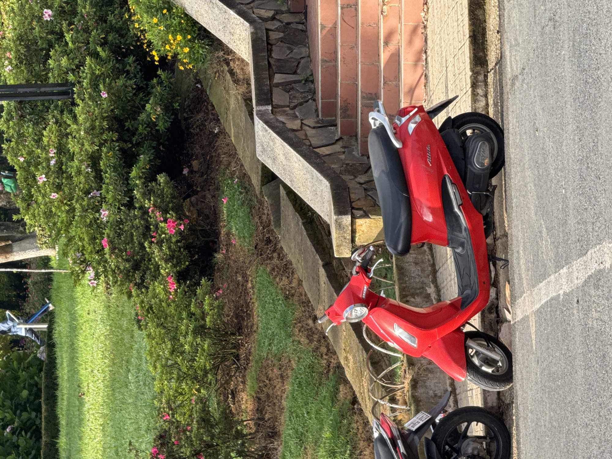 A red scooter is parked on the side of a paved road in Da Lat, Vietnam. The scooter is positioned in the foreground, facing left. Behind the scooter, a stone and brick staircase ascends to the right, bordered by a stone wall. Lush green grass and flowering bushes, some with pink and yellow blooms, are visible beyond the staircase and wall, on a sloped embankment. In the background, a person dressed in blue jeans and a light blue jacket is walking on the grassy area. The overall scene suggests a park or garden setting within the city.