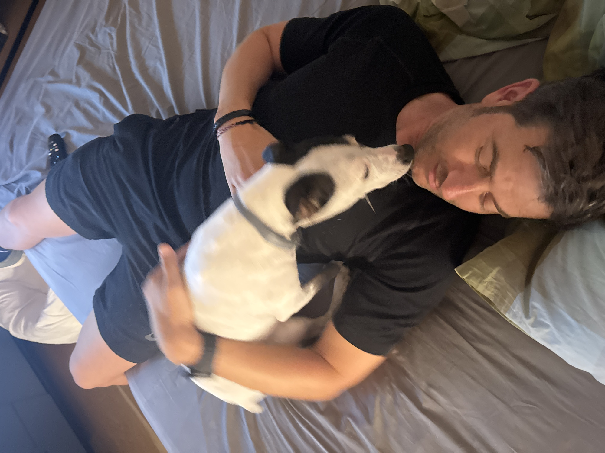 The image shows a man lying on his back on a bed, with a small white and black dog resting on his chest, nuzzling his face. The man is wearing black shorts and a black t-shirt. He has dark hair and stubble. The dog has black markings around its eyes and ears. The bed is covered with gray sheets. There is a pillow with a light yellow and white cover to the right of the man. The background is out of focus, but appears to be a room interior, possibly a bedroom. The lighting suggests it may be indoors during the day or under artificial light. There is no indication of the location being in the city of Murcia, Spain, or any other specific geographical location.