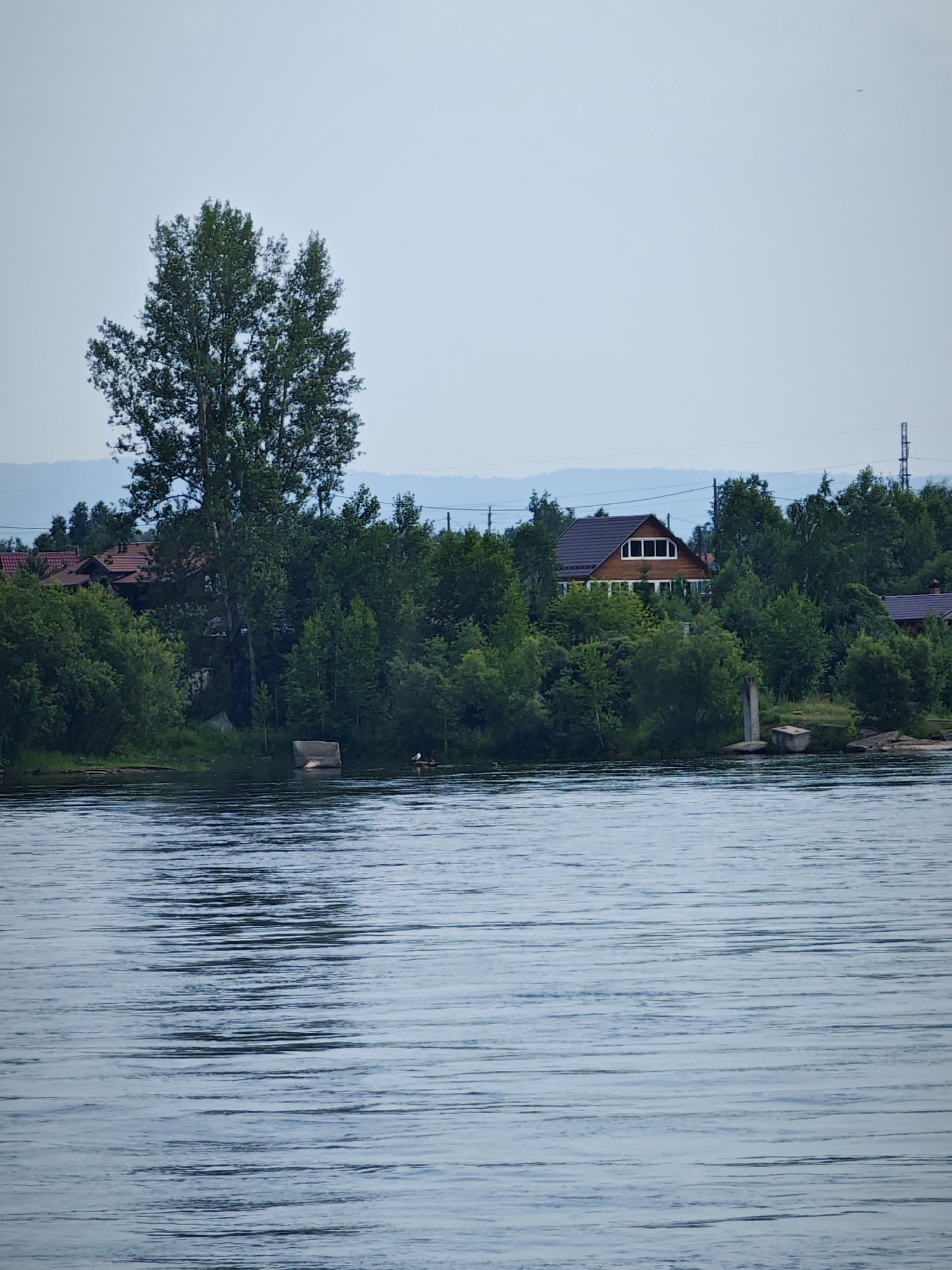 The image depicts a serene waterscape with a residential area nestled amongst lush greenery. The foreground is dominated by a wide body of water, likely a river or lake, with gentle ripples creating a textured surface. In the mid-ground, the shoreline is densely populated with various trees and shrubs, obscuring much of the underlying land.
Visible amongst the foliage are several buildings. To the left, a red-roofed house with multiple windows is partially visible. Further to the right, a larger, more prominent house with a dark brown roof and a distinctive multi-pane window design is situated higher up on the bank, surrounded by trees. A concrete structure, possibly a pier or a foundation, juts out into the water near the shoreline, accompanied by a small boat. A single bird stands on a small object in the water near the concrete structure.
In the background, a hazy outline of hills or distant landmasses can be seen against a pale, overcast sky. The overall impression is one of a tranquil, semi-rural setting within the city of Sosnovoborsk, Russia, characterized by its natural beauty and residential development.
