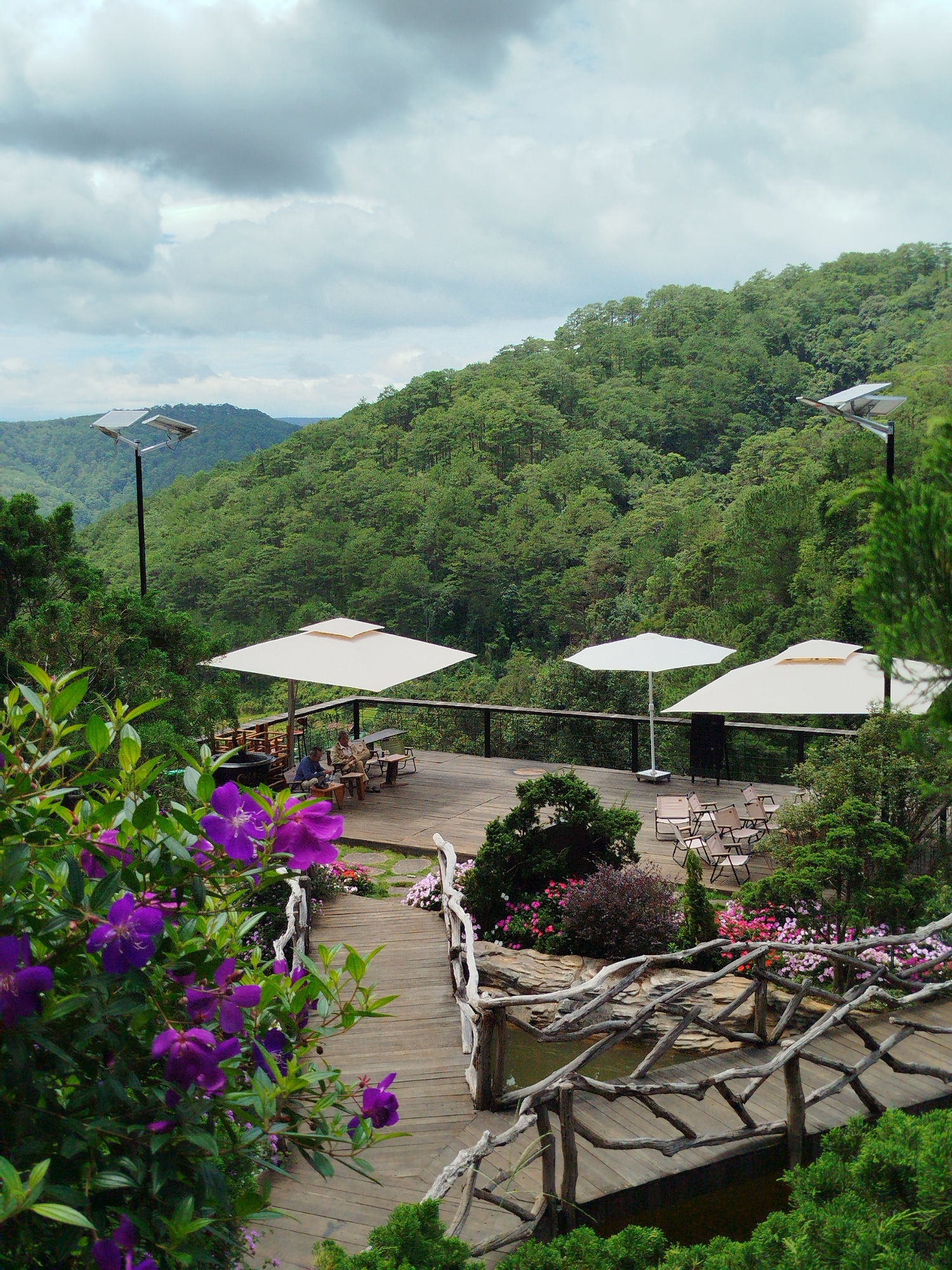This image depicts an outdoor seating area with a scenic view of a densely forested valley and mountains under a cloudy sky. The seating area is constructed from wooden planks, forming a deck and a decorative wooden bridge over a shallow water feature. Several white and cream-colored patio umbrellas provide shade over tables and chairs arranged on the deck. In the foreground, a cluster of vibrant purple flowers with green leaves is in bloom. Two solar-powered streetlights are visible in the background, illuminating the path or area. The scene appears to be a cafe or restaurant located in Da Lat, Vietnam, known for its lush, hilly terrain and cooler climate.