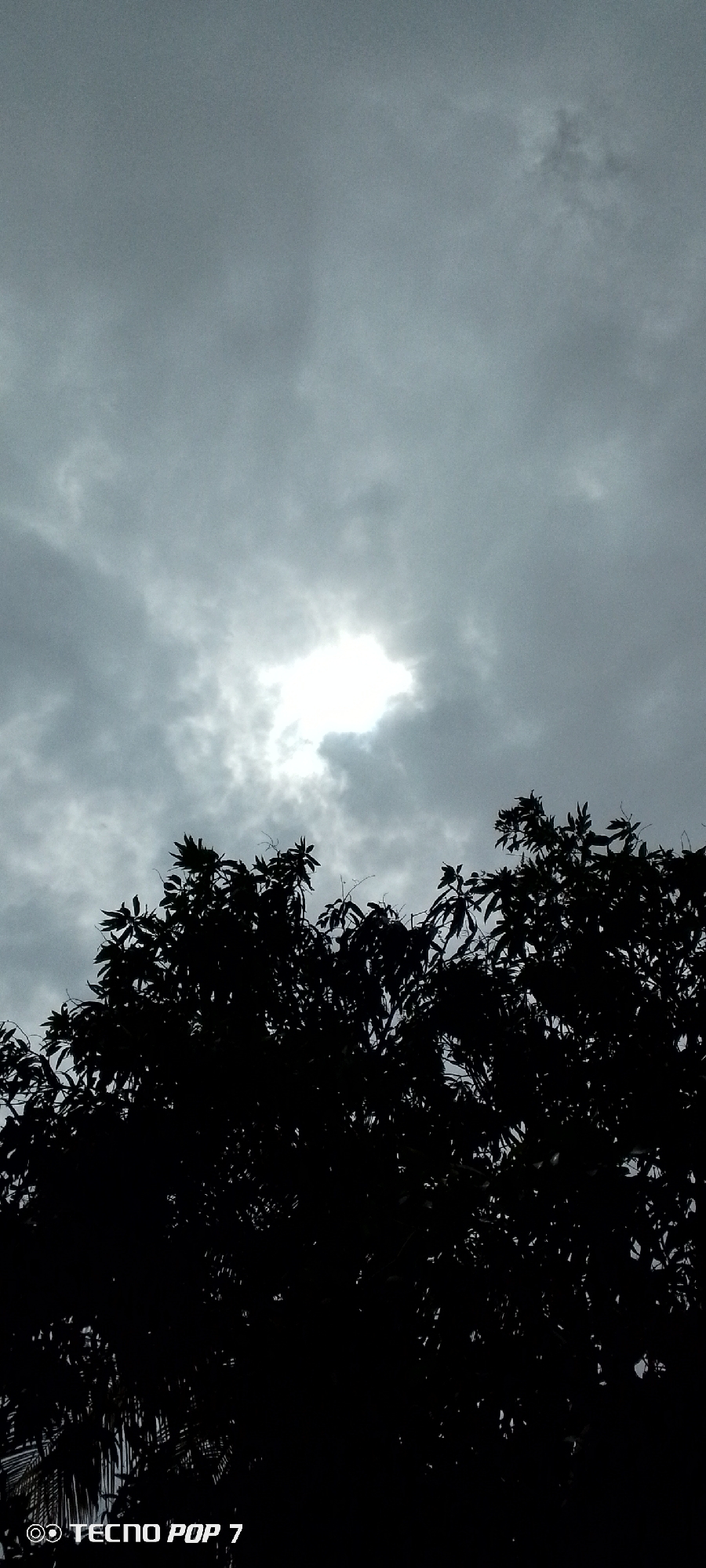 The image shows a view of a heavily overcast sky with a break in the clouds where sunlight is visible. The foreground is dominated by the dark silhouette of a tree with dense foliage. The location is indicated by the camera model watermark in the lower left corner as "TECNO POP 7", but information about it being in Altagracia, Venezuela is not in the image itself.