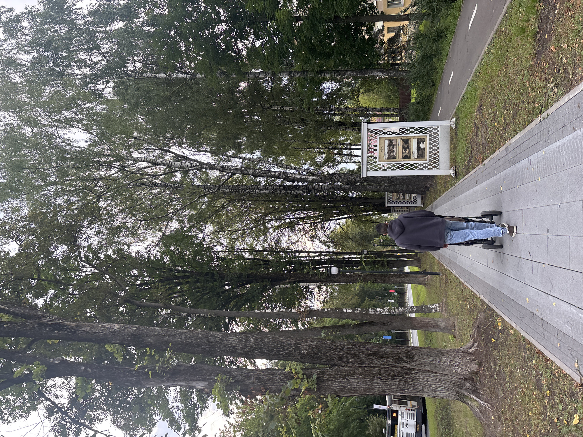 In the city of Klin, Russia, a person walks on a paved walkway pushing a stroller. They are wearing a dark hooded sweatshirt and blue jeans. The walkway is lined with trees on both sides, some with birch bark. To the left of the walkway, there is a road with a bus and traffic. To the right, there is a paved bicycle path. In the background, there are buildings and more trees. Several white decorative stands with framed pictures are placed along the walkway. The sky is overcast.