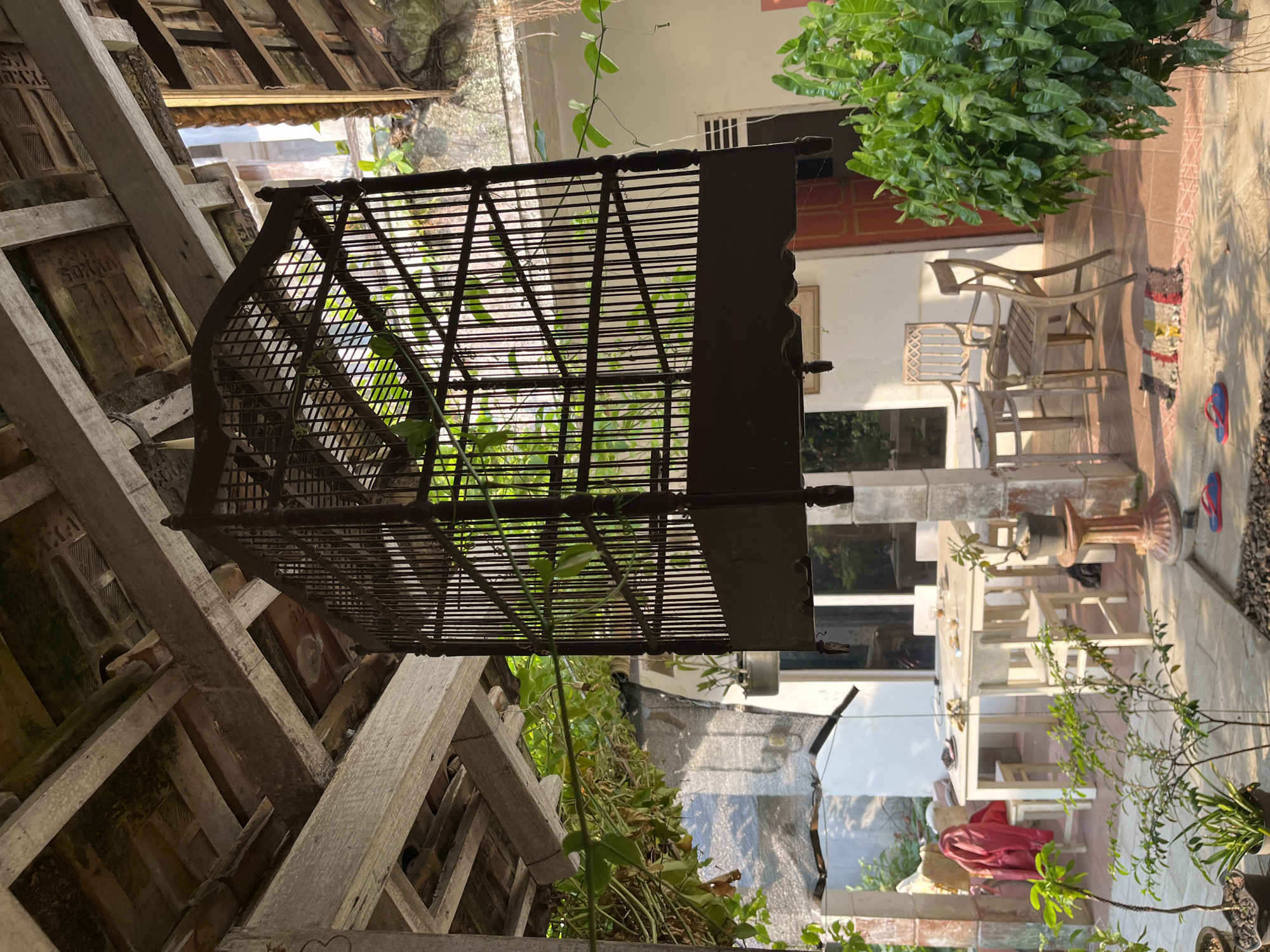 An outdoor seating area is depicted in Karangkebagusan, Indonesia, under a traditional wooden roof. A large, dark birdcage hangs from the ceiling, filled with lush green plants. In the background, a white dining table with chairs is set up, with a red jacket draped over one chair. Several potted plants are scattered throughout the scene, and a large, leafy green shrub is visible on the right side. The tiled floor is partially covered with a small mat and a pair of flip-flops. Sunlight streams in, casting shadows and highlighting the textures of the wooden beams and greenery.