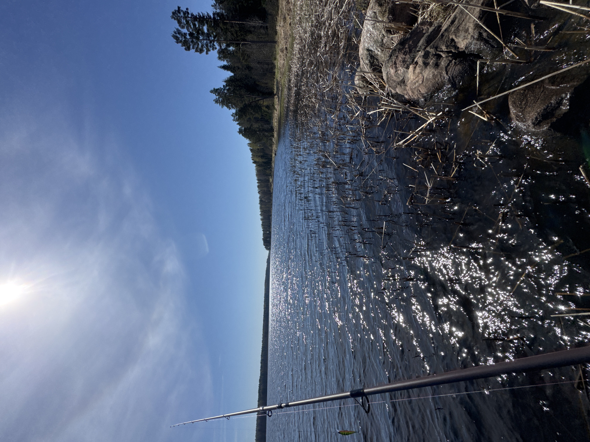 The image shows a view of a lake from the shoreline. The sun shines brightly on the lake, reflecting in sparkles across the water's surface. To the right, the bank is covered in grass, reeds, and some rocks. A line of trees follows the left bank. In the foreground is a fishing rod with a line in the water. The city of Aleksandrovka, Russia is not visible.