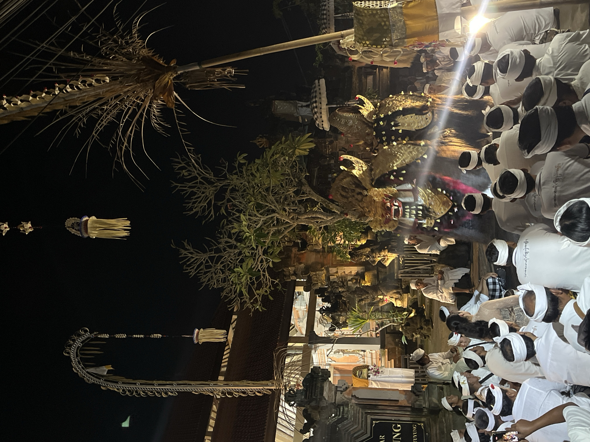 The image depicts an outdoor nighttime event in what appears to be a temple or cultural site in Ubud District, Indonesia. The scene is illuminated by artificial lighting and a spotlight. In the foreground, a large group of people, mostly men, are seated on the ground, many wearing white traditional clothing and head coverings. In the middle ground, a large, elaborate dragon or mythical creature costume is visible, possibly part of a performance or procession, with a spotlight shining on it. Behind the costume, there are other figures and architectural elements of a temple complex, including intricate stone carvings, a thatched-roof building, and decorative banners or hangings. Tall palm fronds and trees are also present, silhouetted against the dark night sky. The overall atmosphere suggests a traditional ceremony or cultural performance.