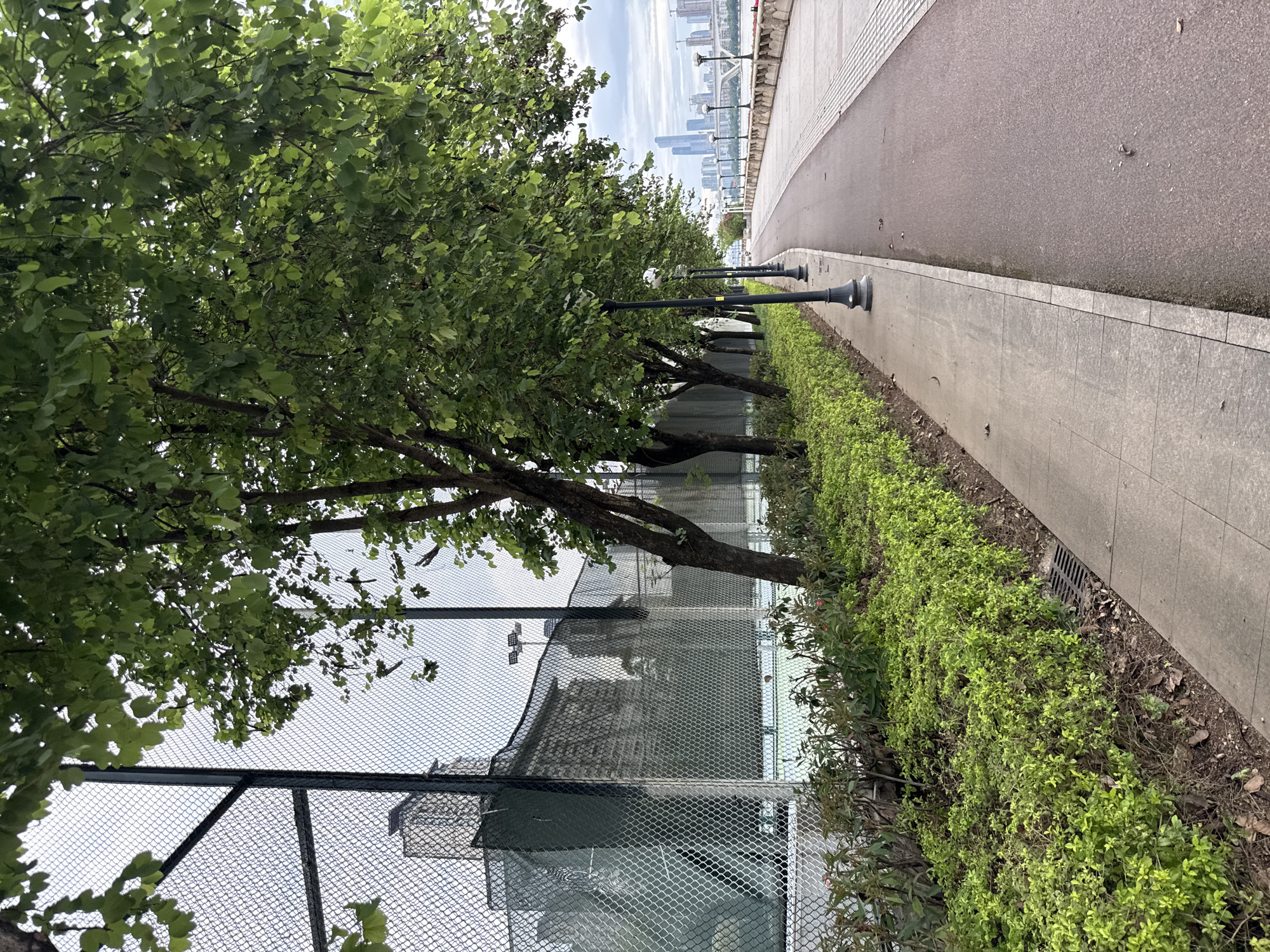 The image shows a pathway adjacent to a fence and a row of trees. The pathway is paved with concrete and asphalt. To the left of the pathway is a well-maintained hedge and beyond that, a chain-link fence enclosing a tennis court. The tennis court appears to be empty, with buildings visible in the background through the fence. To the right of the pathway, a river or body of water is visible, with a cityscape and bridges in the distance. The sky is overcast. The scene suggests an urban park or recreational area.