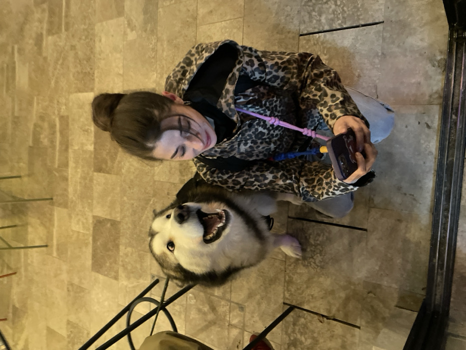 A woman with a bun is crouched down, holding a phone at eye level, seemingly taking a picture. She is wearing a leopard-print jacket. A large dog with black and white fur sits below her, looking up with an open mouth. The scene is indoors, with a tile floor. Metal furniture legs are visible in the foreground.