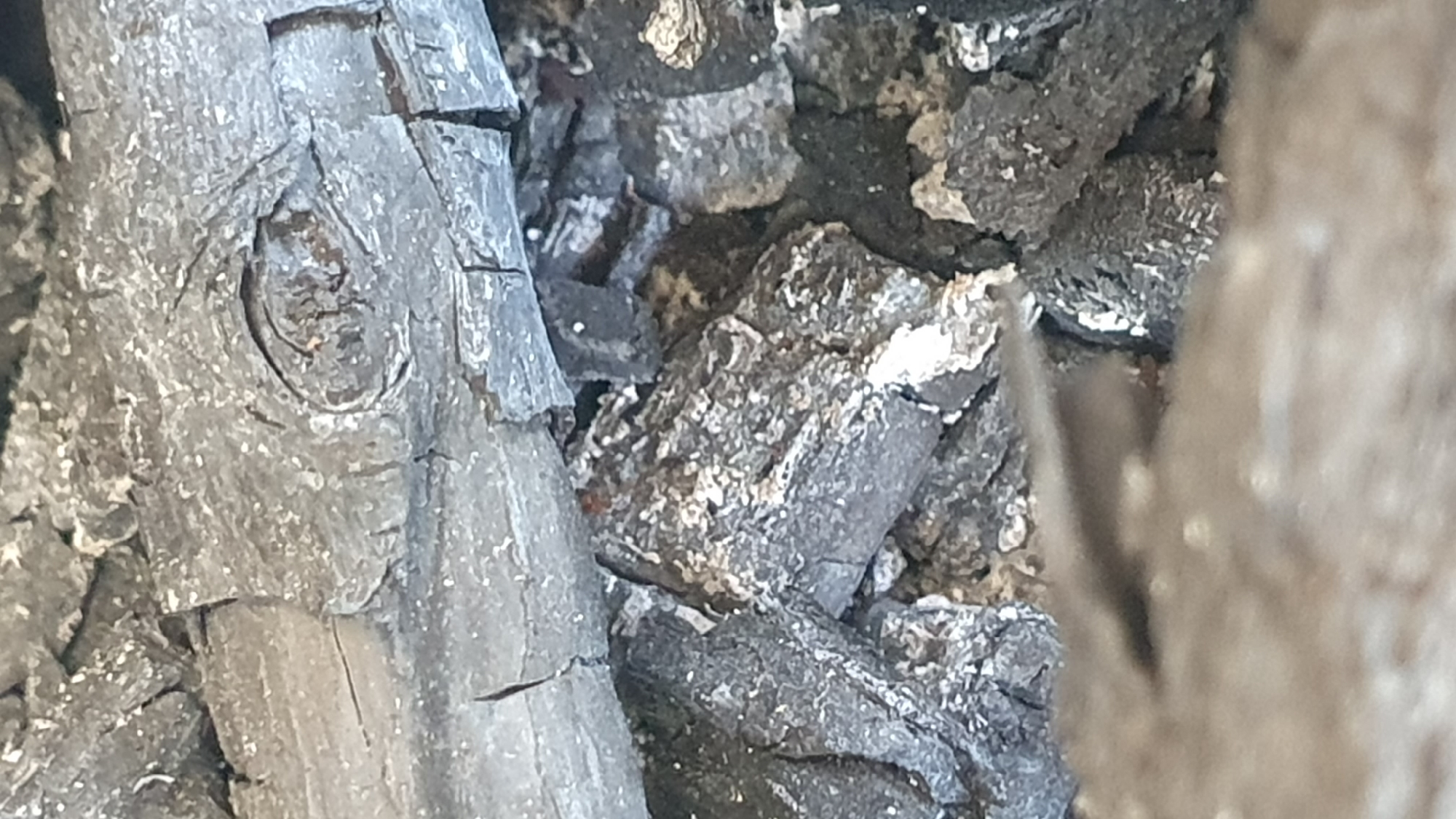 The image shows a close-up view of charred wood, likely from a fire. The texture is rough and ashy, with pieces of charcoal of various sizes. Some of the wood appears to have been larger logs, now broken into smaller fragments. There are visible cracks and fissures on the surface of the charred material. The overall color palette is dominated by shades of gray and black, with some lighter specks of ash or residue. The lighting is diffuse, creating a somewhat soft focus, particularly in the foreground. There is no indication of the city of Ust-Labinsk, Russia, or any specific environmental context beyond the immediate subject matter. No people or actions are depicted.