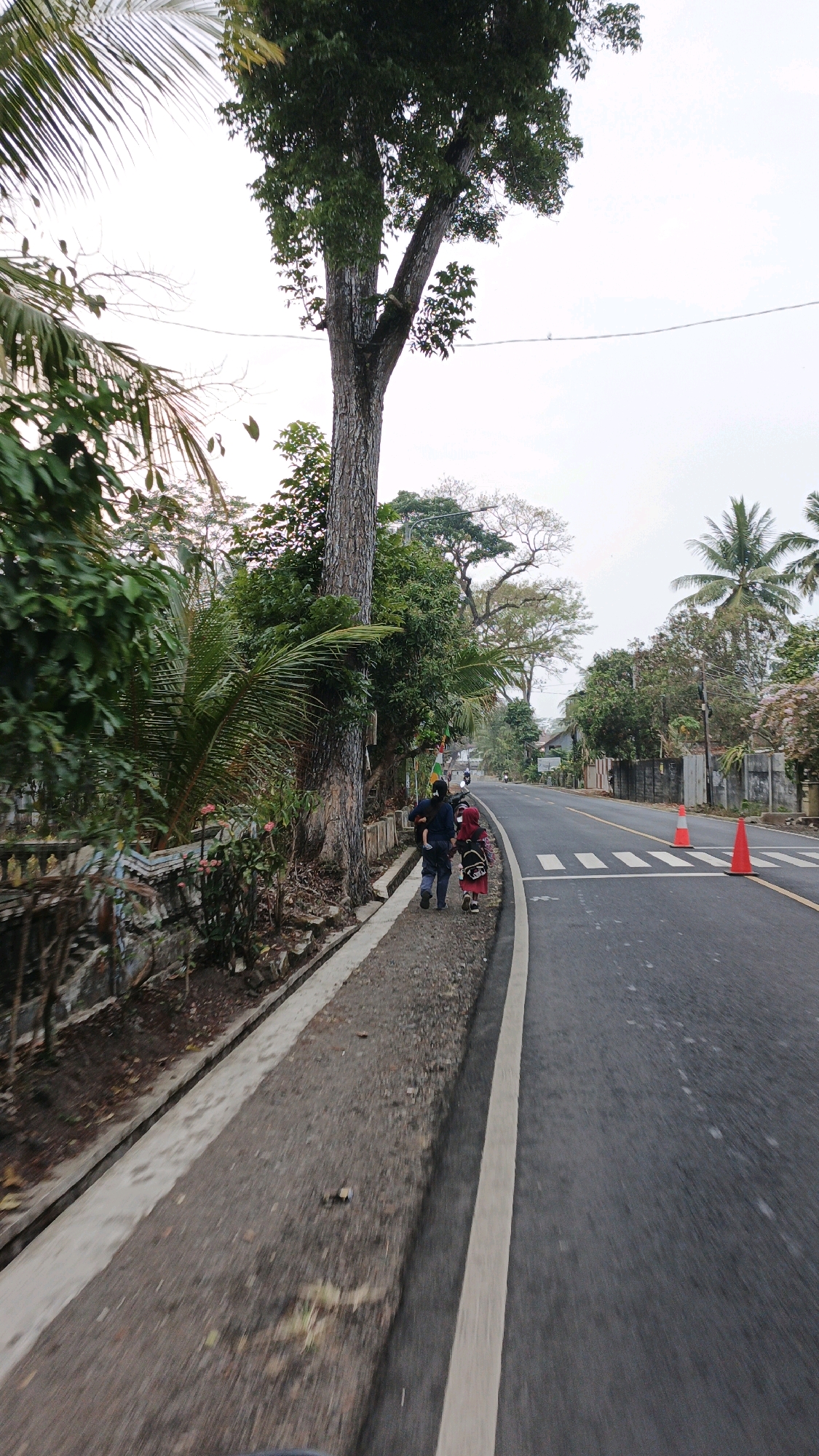 A paved road curves to the right, bordered by a sidewalk and a stone wall with lush vegetation. Two individuals, a child and an adult, walk away from the camera on the sidewalk. The adult, wearing dark clothing and a dark head covering, appears to be pulling a red cart. The child, in a red outfit, walks beside them. The scene is framed by tall trees, including a prominent one with a thick trunk, and dense foliage. Beyond the trees, houses and other buildings are visible. Traffic cones are placed on the road. The sky is overcast. The location is identified as Sukaresik, Indonesia.