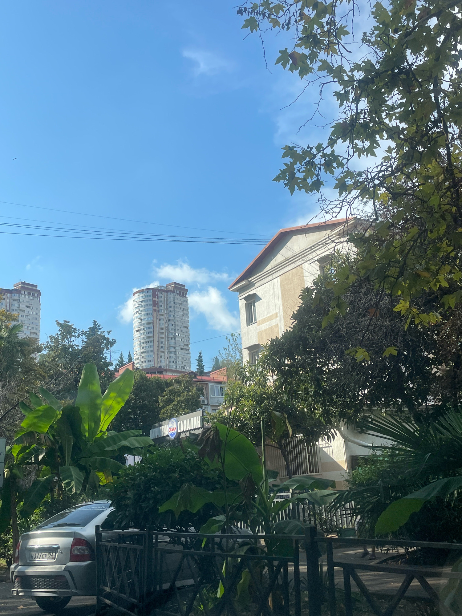 The image depicts a view of apartment buildings and lush vegetation under a clear blue sky with scattered clouds. Two tall, modern apartment buildings with light-colored facades and red roofs are visible in the background. The building on the right is taller and appears to be a curved structure, while the one on the left is rectangular. In the foreground, dense green foliage, including large-leafed plants resembling banana trees and other tropical flora, obscures the lower part of the scene. A silver sedan is parked on the left, with its rear bumper and license plate visible, which reads "H377CP 93". A metal fence runs across the middle of the frame. A light-colored building with windows and awnings is partially visible behind the trees on the right. The overall impression is an urban setting with significant green spaces, possibly a residential area. The presence of the license plate "93" suggests the car is registered in Krasnodar Krai, a region that includes Sochi.