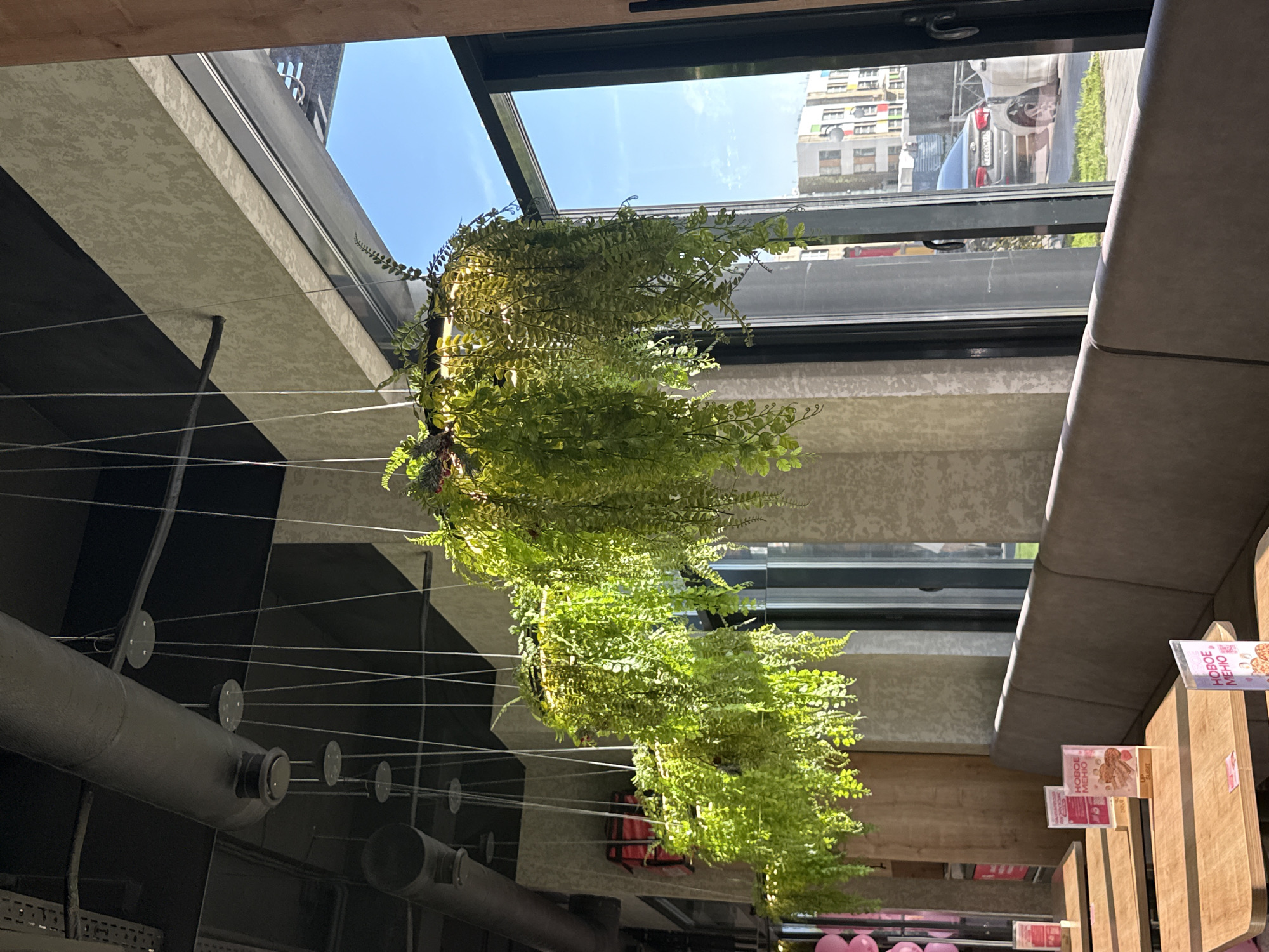 The image depicts the interior of a cafe in Lyubertsy, Russia. The scene is dominated by hanging artificial ferns, which are suspended from the ceiling by thin wires. These lush green plants create a cascading effect, partially obscuring the view of the large windows. Through the windows, a street scene is visible, with buildings and cars under a clear blue sky.
Inside the cafe, several tables with wooden surfaces are arranged in rows, some of which have menus or other informational displays on them. A long, upholstered bench seating area runs along one side of the room. The ceiling is industrial in design, with exposed pipes and ductwork. The lighting appears to be a mix of natural light coming through the windows and artificial light sources. No people are visible in the image, suggesting the cafe is either closed or not currently in operation. The overall atmosphere appears to be modern and clean.