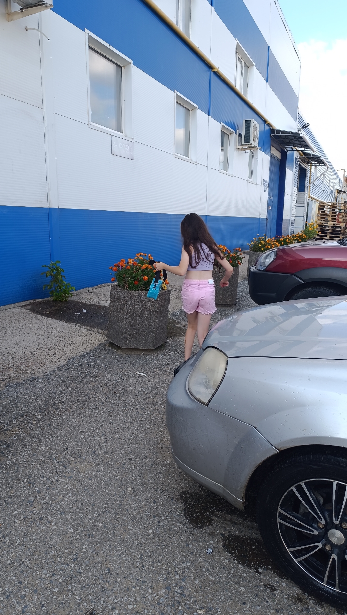 A young girl with long dark hair, wearing a light purple crop top and pink denim shorts, stands outdoors near a building with blue and white horizontal siding. She is facing away from the camera, holding a small blue bag and a black object in her hands. She appears to be interacting with or near large concrete planters filled with orange flowers. In the foreground, the front right side of a silver car is visible. To the right of the planters, a red SUV is parked. The ground is covered in gravel and there are puddles of water, suggesting recent rain. The building has several windows and an air conditioning unit mounted on the exterior wall. The scene appears to be in an urban or industrial area, possibly a commercial or public space, in Chaikovsky, Russia, given the provided information.