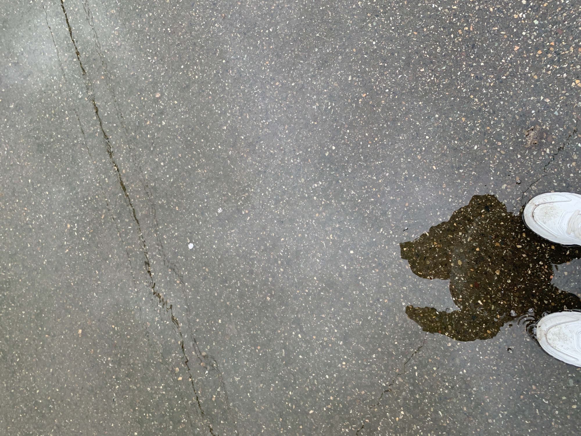 The image depicts a section of wet, gray concrete pavement with a visible crack extending from the top left toward the center. The pavement appears to be speckled with small stones. In the lower right quadrant, there is a puddle reflecting the outline of a person’s legs and white sneakers. The location appears to be an urban environment.