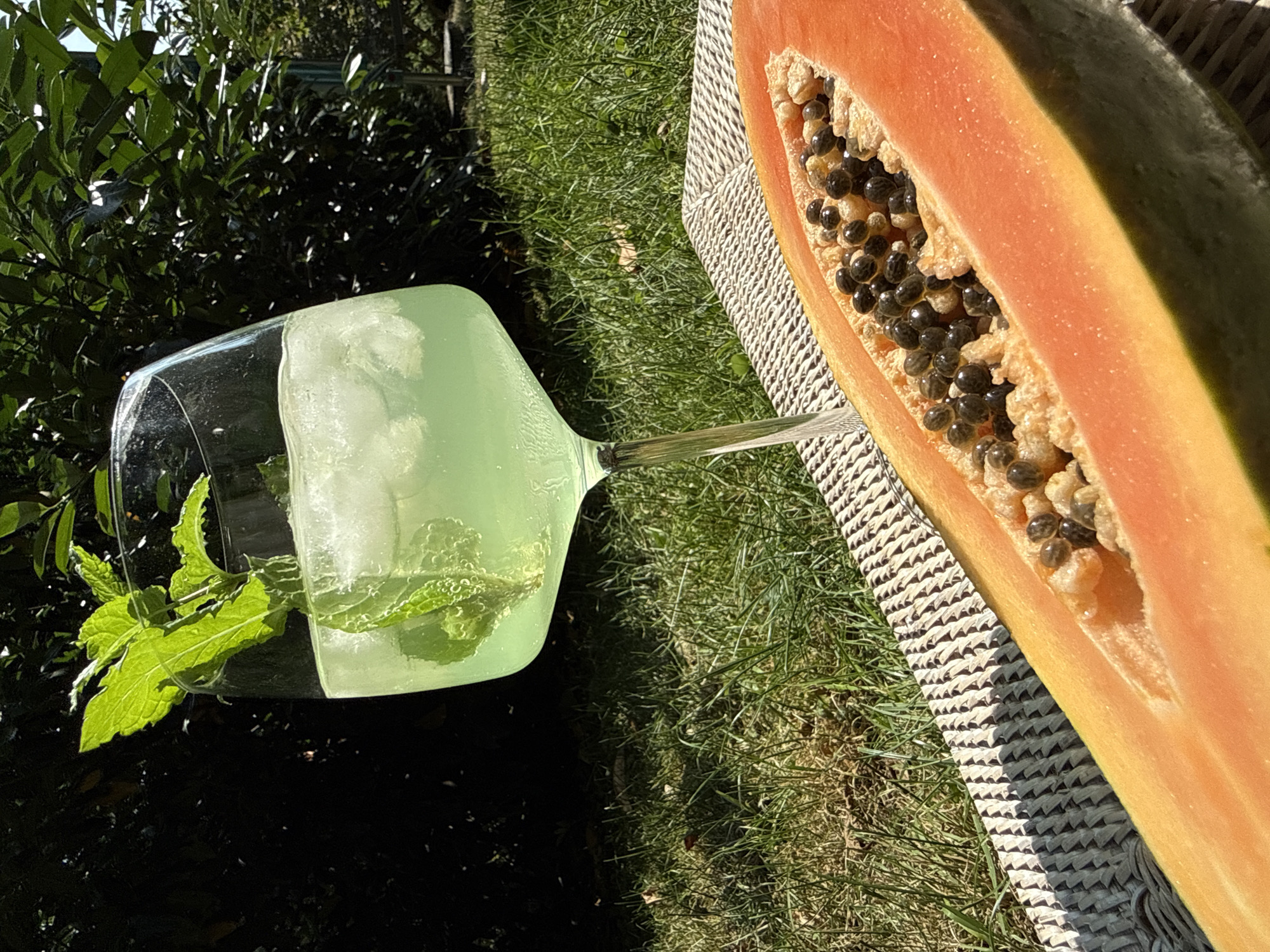A close-up, eye-level, outdoor shot captures a refreshing drink and a halved papaya on a woven mat. The drink, a pale green liquid with ice cubes and mint sprigs, is served in a large stemmed glass. The papaya, cut lengthwise, reveals its orange flesh and numerous small, black seeds. The background consists of lush green grass and dense foliage, suggesting a garden setting. Sunlight illuminates the scene, creating sharp shadows and highlighting the textures of the fruit and drink. The image does not provide any specific information about the location being in the city of Bad Sachsa, Germany. There are no people or animals present in the image.
