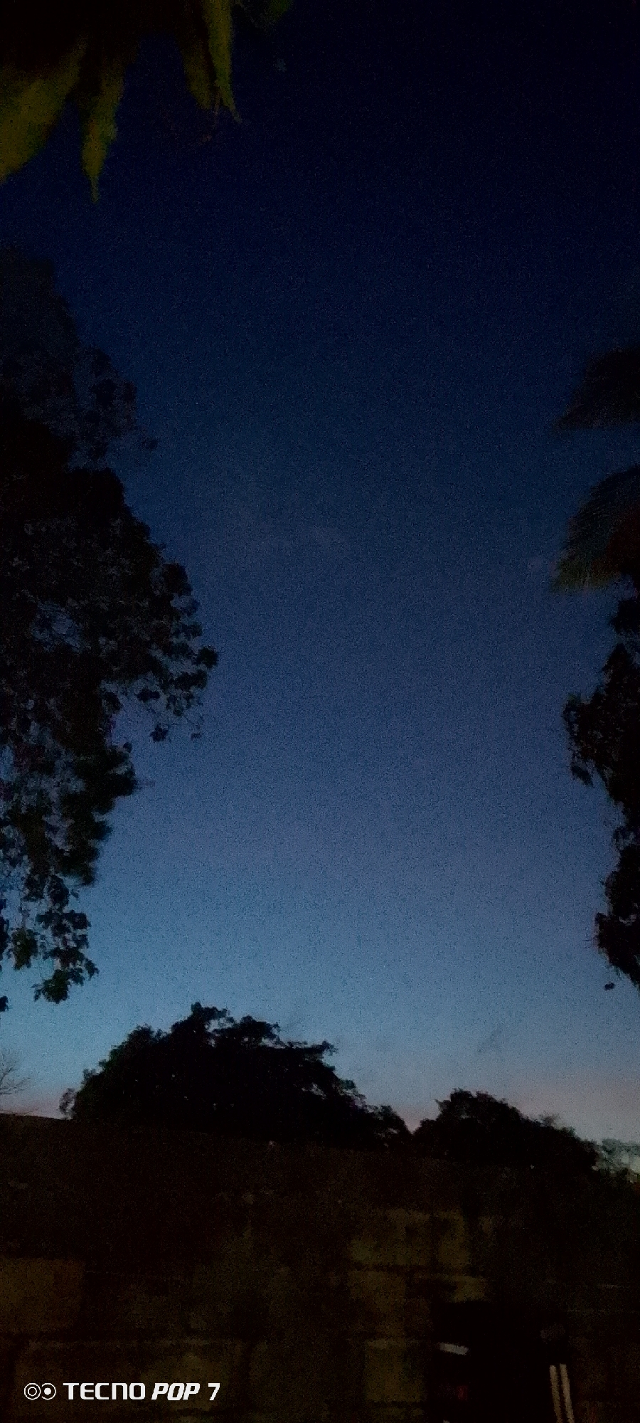 The image depicts a night scene in Altagracia, Venezuela. The sky is a gradient of blue, darker at the top and lightening towards the bottom. Silhouetted trees and foliage frame the image on the sides and bottom. The bottom of the image shows dark shapes that could be buildings or further trees, obscured by darkness. The scene is generally dark and lacks bright features. The bottom left corner has the text "TECNO POP 7".