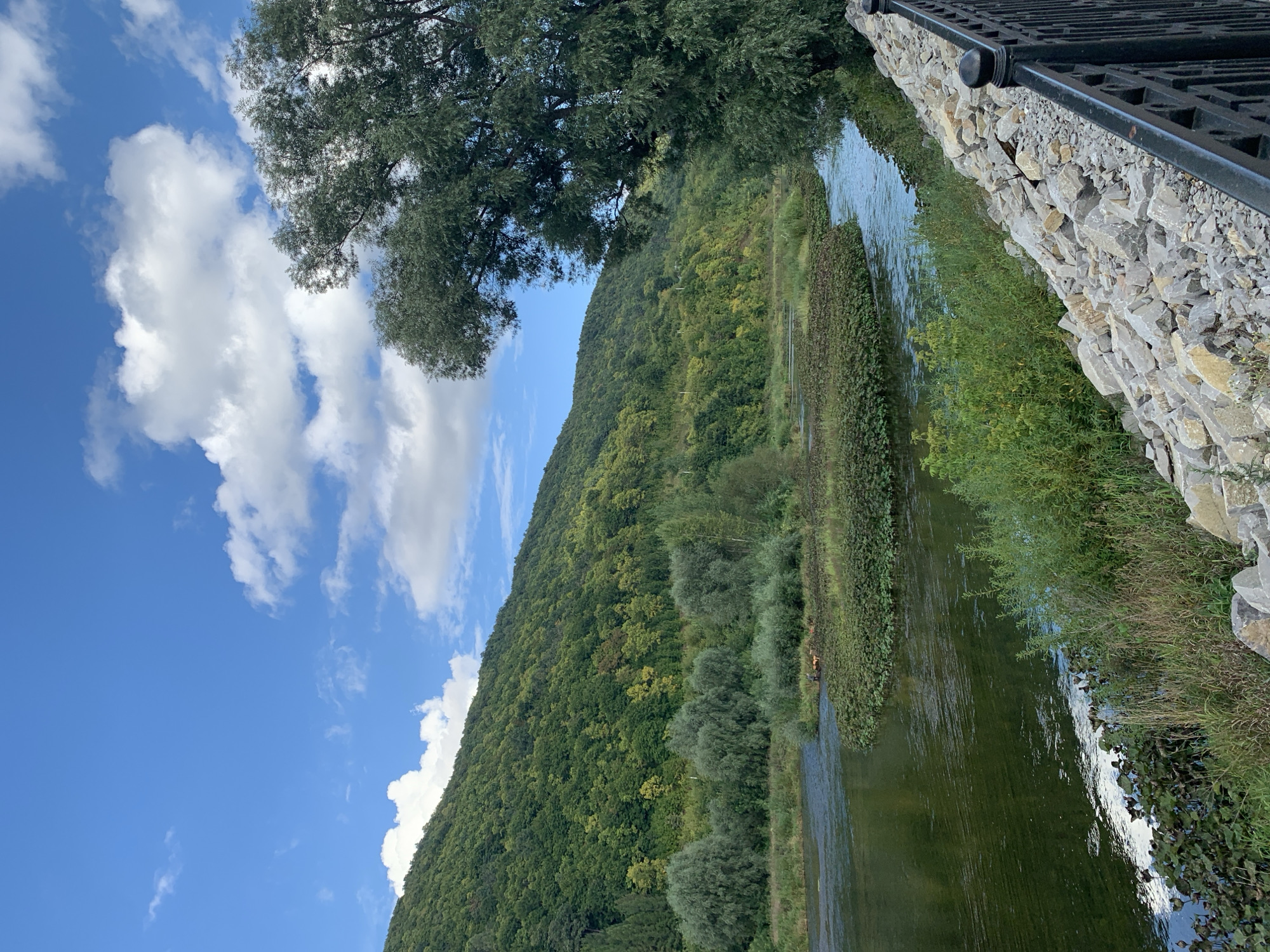 This image depicts a serene natural landscape. In the foreground, a black metal fence runs along the right side of the frame, bordering a slope covered in gray rocks and green vegetation. A river flows through the scene, its surface reflecting the blue sky and scattered white clouds. The river curves around a large island densely covered in dark green aquatic plants.
The background is dominated by a lush, tree-covered hill that rises steeply. The trees display various shades of green, suggesting a mix of deciduous and evergreen species. The sky is a vibrant blue with fluffy white clouds. There is no visible human presence or activity in this image, nor are there any identifiable structures or man-made objects beyond the fence and a few small, dark objects that appear to be boats or buoys on the water near the island.
The scene appears to be a natural river valley, possibly in a rural or park-like setting. There is no discernible information within the image that would indicate this location is in the city of Asha, Russia.