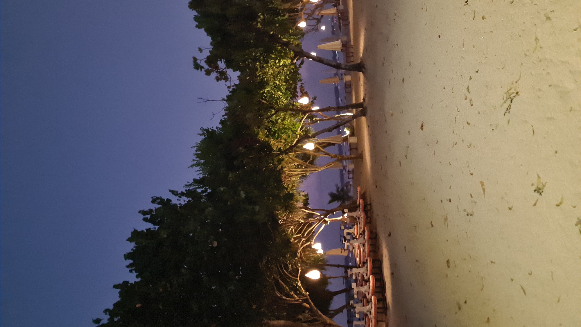 This is a photograph taken at twilight on a sandy beach, likely in Denpasar, Indonesia. The sky is a deep, clear indigo, indicating the end of daylight. Several trees with full canopies are scattered across the scene, their leaves appearing dark against the sky. Hanging from some of the tree branches are illuminated, bell-shaped lanterns, casting a warm, yellow glow. In the mid-ground, rows of low-lying tables with orange cushions are arranged on the sand, suggesting a dining or lounging area. Behind these tables, several white umbrellas are partially visible, further indicating a beachside establishment. The beach itself is composed of light-colored sand with scattered debris, such as dried leaves and small twigs. In the far distance, the outline of the ocean and possibly distant boats can be discerned against the faintly illuminated horizon. There are no people visible in the frame.