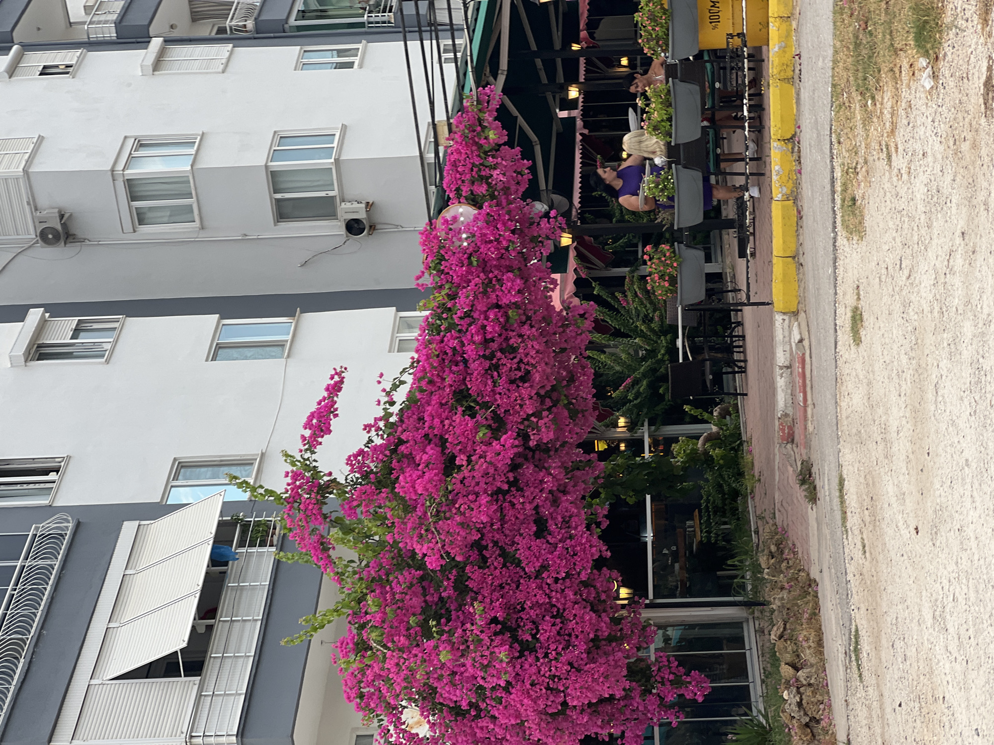 In the city of Antalya, Turkey, a vibrant bougainvillea tree with intensely pink flowers cascades over a sidewalk. Behind the tree, a multi-story building features white and gray facades with numerous windows, some adorned with white roll-up shutters. An air conditioning unit is visible on the exterior wall of the building. Adjacent to the building and partially obscured by the bougainvillea, an outdoor seating area for a cafe or restaurant is set up with dark tables and chairs. Several potted plants with pink and green foliage are placed around the seating area. Three individuals are present in the outdoor seating area: one person in a purple dress stands and appears to be serving or presenting something, while two others are seated, one with blonde hair, and another person with dark hair is also seated. The ground in the foreground is a mix of gravel and pavement, with a yellow curb marking the edge of the seating area. The scene is illuminated by natural daylight.
