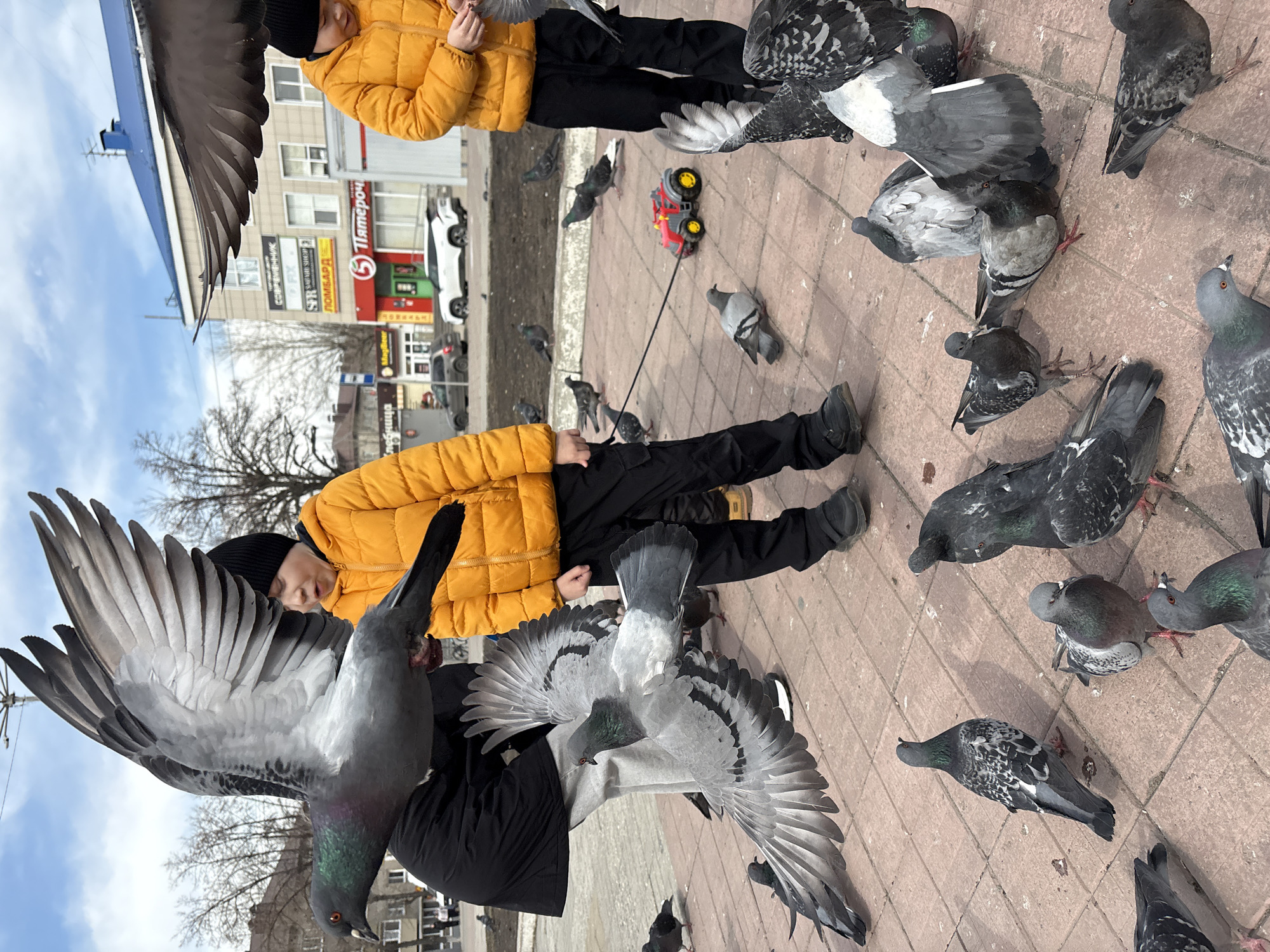 Two people wearing yellow jackets and black pants are standing on a brick-paved square in Ulyanovsk, Russia. Many pigeons surround them, some with their wings extended in flight. A red and yellow toy tractor sits on the bricks near the people and birds. Buildings and parked cars are visible in the background under a partly cloudy sky. A sign in Russian is visible on one of the buildings. Bare trees are visible.