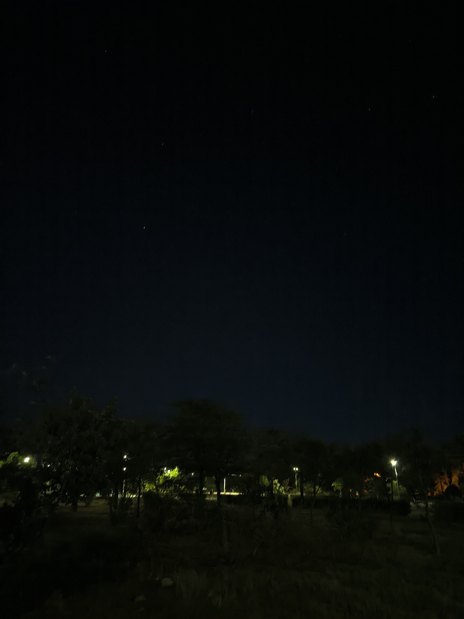 The image shows a dark night sky with several faint stars visible. In the lower part of the frame, there is a silhouette of trees and bushes, with some faint illumination from streetlights or artificial lighting scattered within the foliage. The ground appears to be covered in grass or low-lying vegetation, also largely in shadow. The scene depicts a park or a treed area at night. There are no people or specific landmarks to identify the location within Mykolaiv, Ukraine, beyond it being a nighttime outdoor scene.