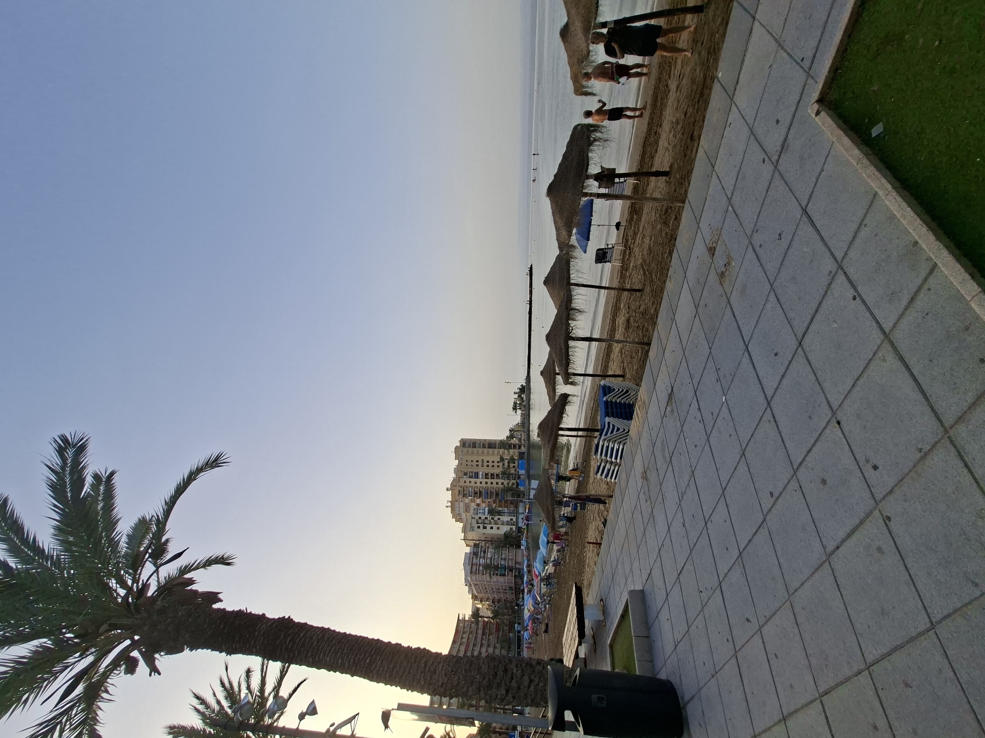 A wide-angle, eye-level shot captures a tranquil beach scene in Torrevieja, Spain. The foreground features a paved walkway with large, grey square tiles. To the left, a dark grey trash bin and a wooden bench are situated next to a small patch of artificial grass. Beyond the walkway, a sandy beach stretches towards the calm sea.
A tall palm tree stands prominently on the left side of the image, its fronds reaching towards the pale blue sky. The beach is dotted with numerous straw umbrellas providing shade over beach chairs and lounge chairs, many of which are stacked neatly in piles. Several people are visible on the beach, some walking, others relaxing under the umbrellas. In the middle ground, a body of water reflects the soft light of what appears to be early morning or late evening.
Along the coastline, multi-story buildings rise, typical of a Spanish seaside resort town. The buildings are light-colored, with balconies and numerous windows. In the distance, a stone jetty extends into the sea, and a few figures can be seen along it. The overall atmosphere is peaceful and serene, with clear, unobstructed views of the horizon. The sky is a gradient of pale blue and soft yellow hues, indicating gentle lighting conditions.