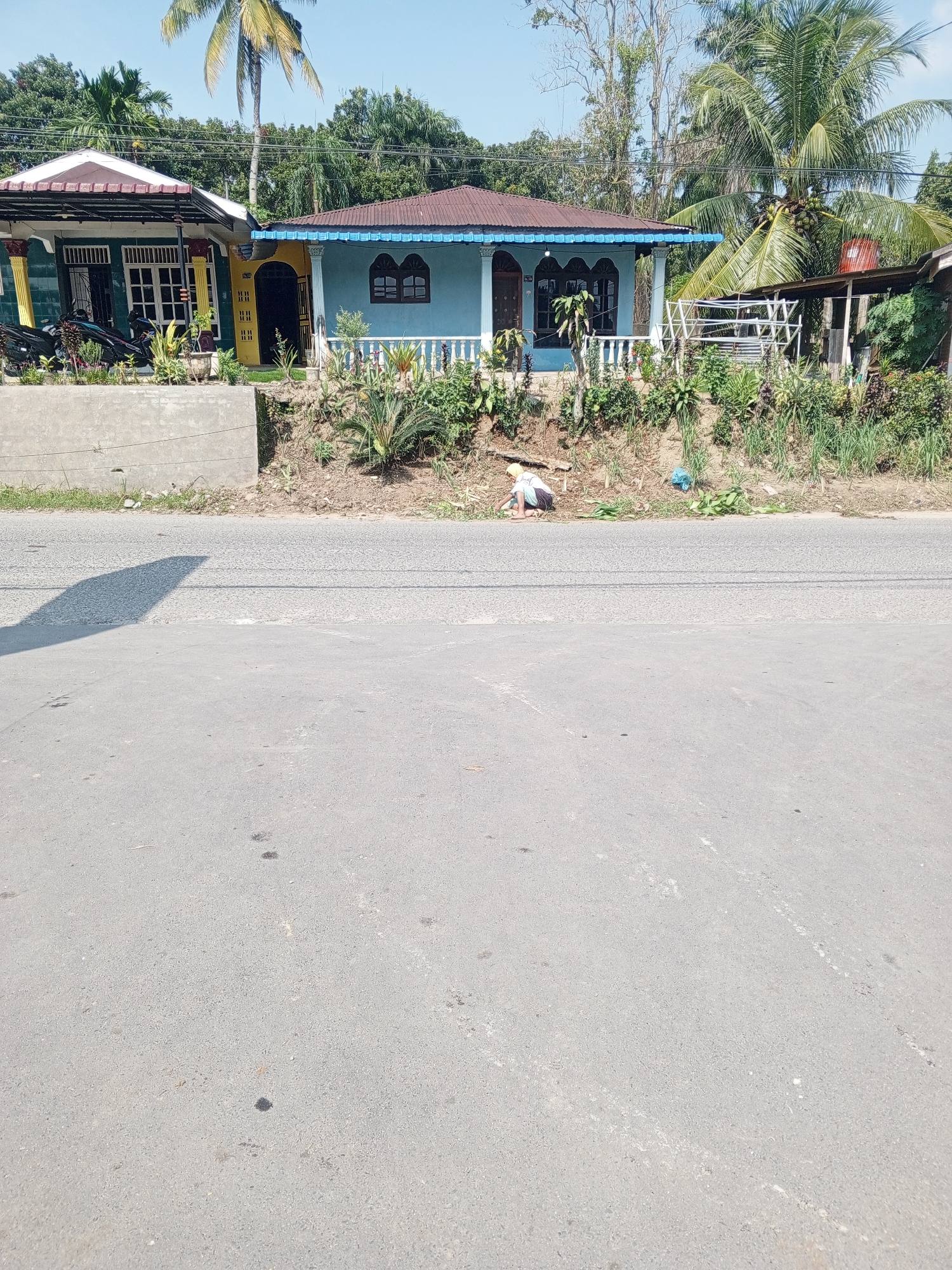 The image depicts a roadside scene in Talun Kenas, Indonesia. In the background, two houses are visible. The house on the left is partially obscured, featuring a green tiled wall, a brown and white roof, and decorative yellow columns. A motorcycle is parked in front of this house, surrounded by plants. To its right, a light blue house with a brown roof and white railings stands. A person, appearing to be a woman wearing a light-colored shirt and dark shorts, is crouched on the ground by the side of the road, near some collected foliage. A blue plastic bag is also present on the ground. The foreground consists of an asphalt road. The environment is tropical, with palm trees and dense green foliage visible throughout the scene under a clear blue sky.