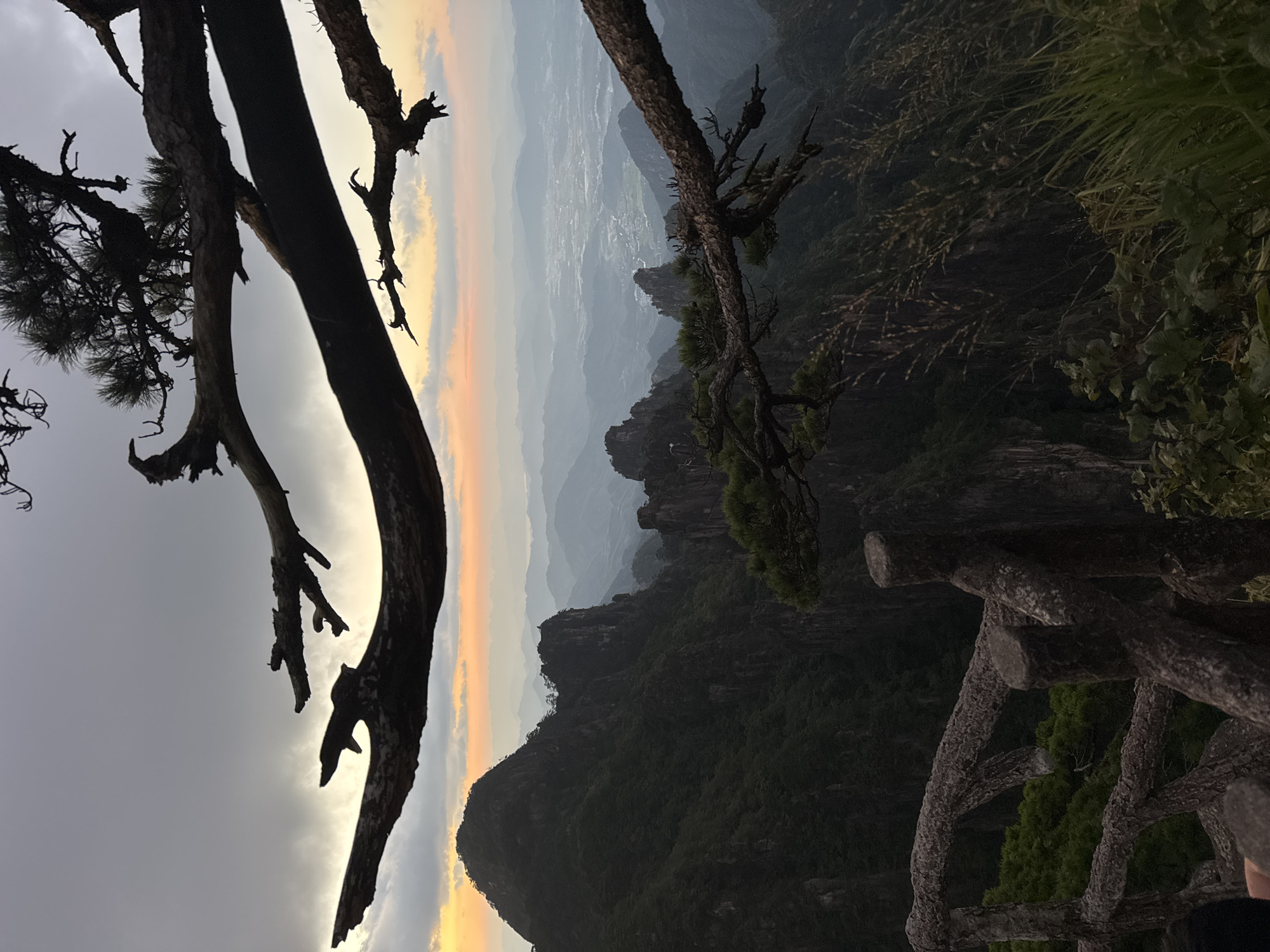 This image depicts a scenic mountain landscape at dusk, likely in Huangshan District, China, characterized by dramatic peaks and a hazy sky. In the foreground, a weathered wooden railing, possibly a safety barrier, runs horizontally across the lower portion of the frame. The railing is made of rough, textured logs and posts, adding a rustic element to the scene. Beyond the railing, the ground slopes downwards, covered with dense green foliage and tall, dry grasses that sway gently.
Dominating the mid-ground and background are towering, dark green mountains. These peaks are rugged and steep, with sharp, rocky outcrops jutting out. The mountains are covered in lush vegetation, giving them a textured, shadowed appearance. In the distance, a layer of mist or haze softens the contours of more distant mountain ranges, creating a sense of depth and vastness. A valley or plain, dotted with what appears to be a small village or settlement with scattered lights, is visible in the far distance, nestled amongst the mountains.
The sky above is a muted blend of grays and oranges, indicating either a cloudy sunset or sunrise. Several dark, silhouetted tree branches, possibly from pine trees, extend into the frame from the top and right, framing the mountainous vista. The branches are bare in places, with some showing clusters of pine needles. The overall impression is one of natural grandeur and tranquility, with the fading light casting a dramatic and somewhat somber mood over the landscape. No people are clearly visible in the image, though a hint of a person's hand or arm is present at the very bottom left corner, suggesting a viewer present at the scene.