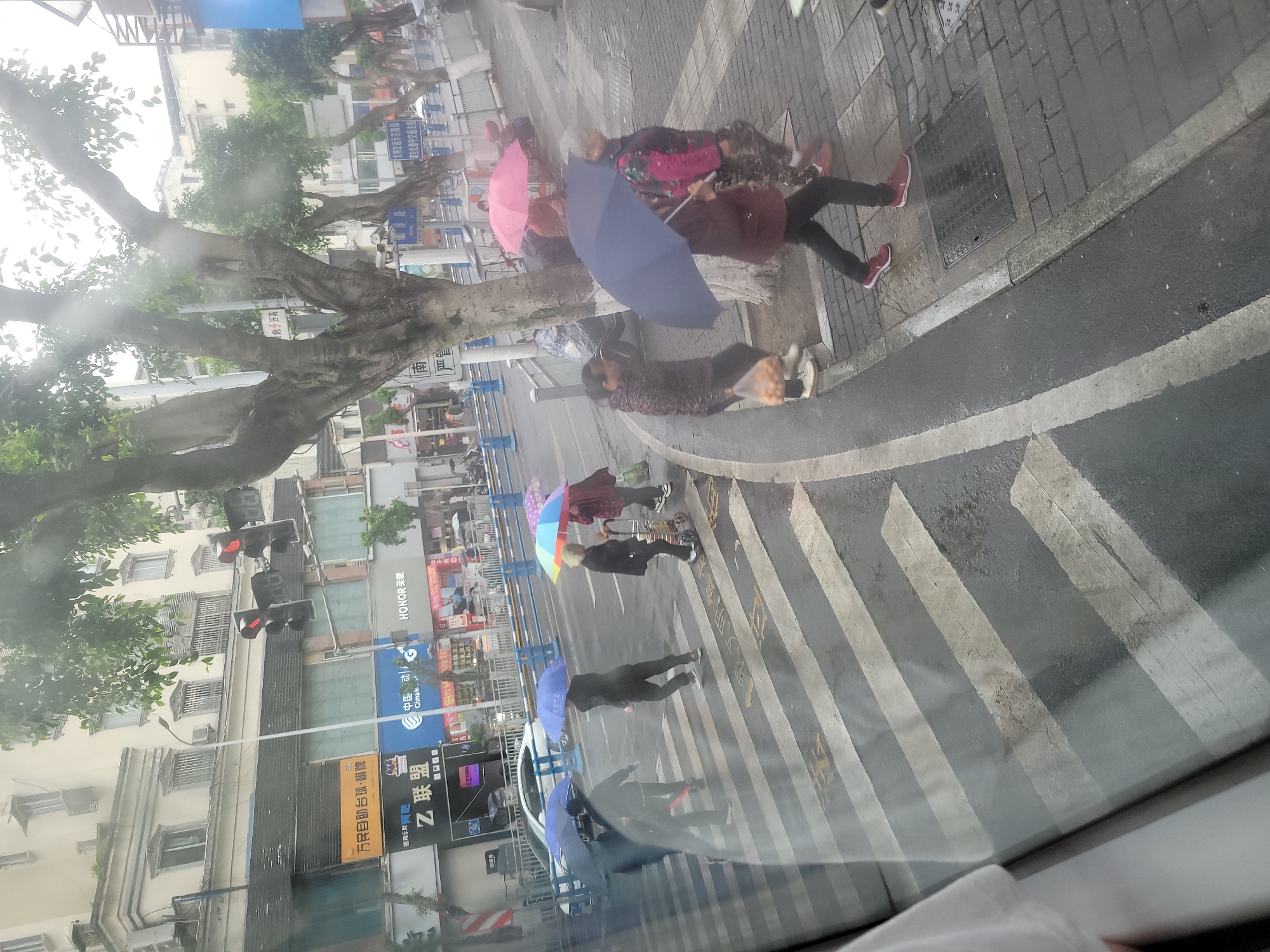 A street scene in Hechuan, China, as viewed through a rainy window, reveals pedestrians crossing a zebra-striped crosswalk. Some individuals are using umbrellas of varying colors, including blue, pink, and rainbow. Buildings line the street, displaying storefronts with Chinese characters and signage. The scene includes traffic lights, a large tree, and various street furniture. The photo is tilted slightly, and the window reflections obscure some details.